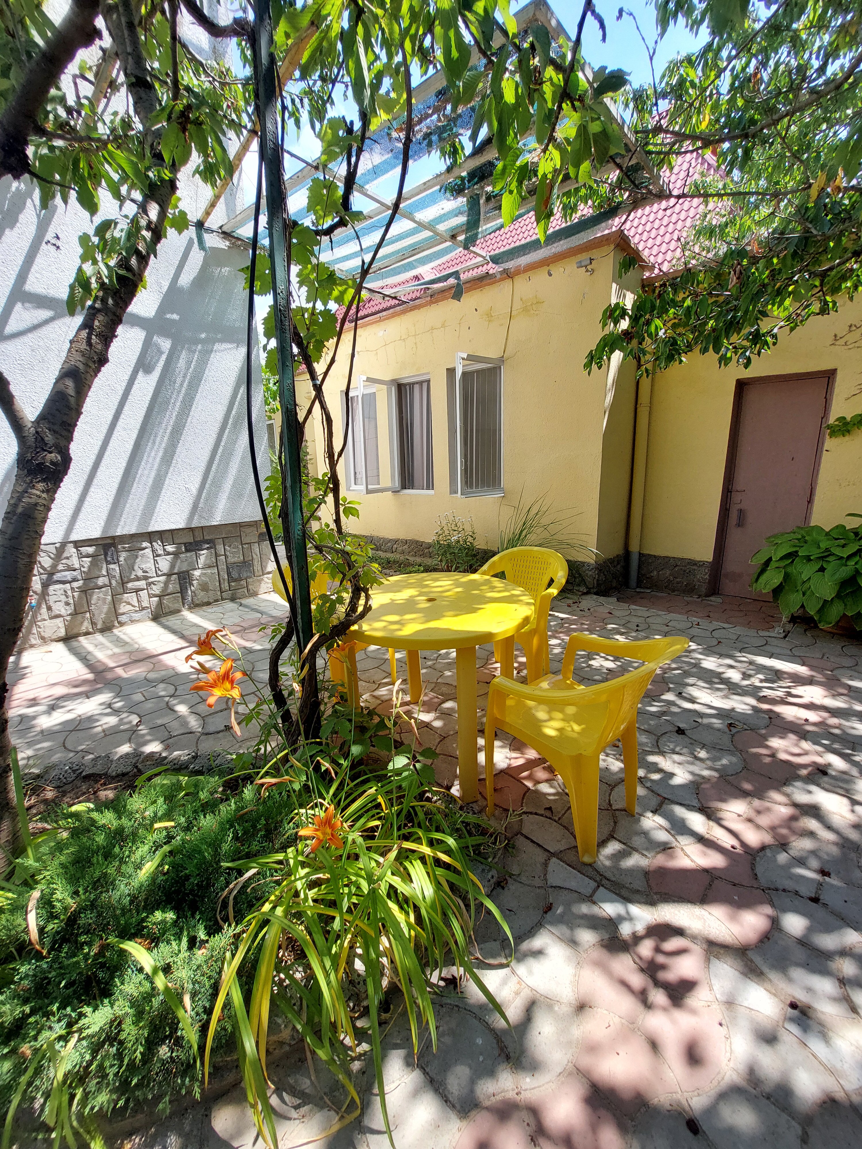 Фото Летний