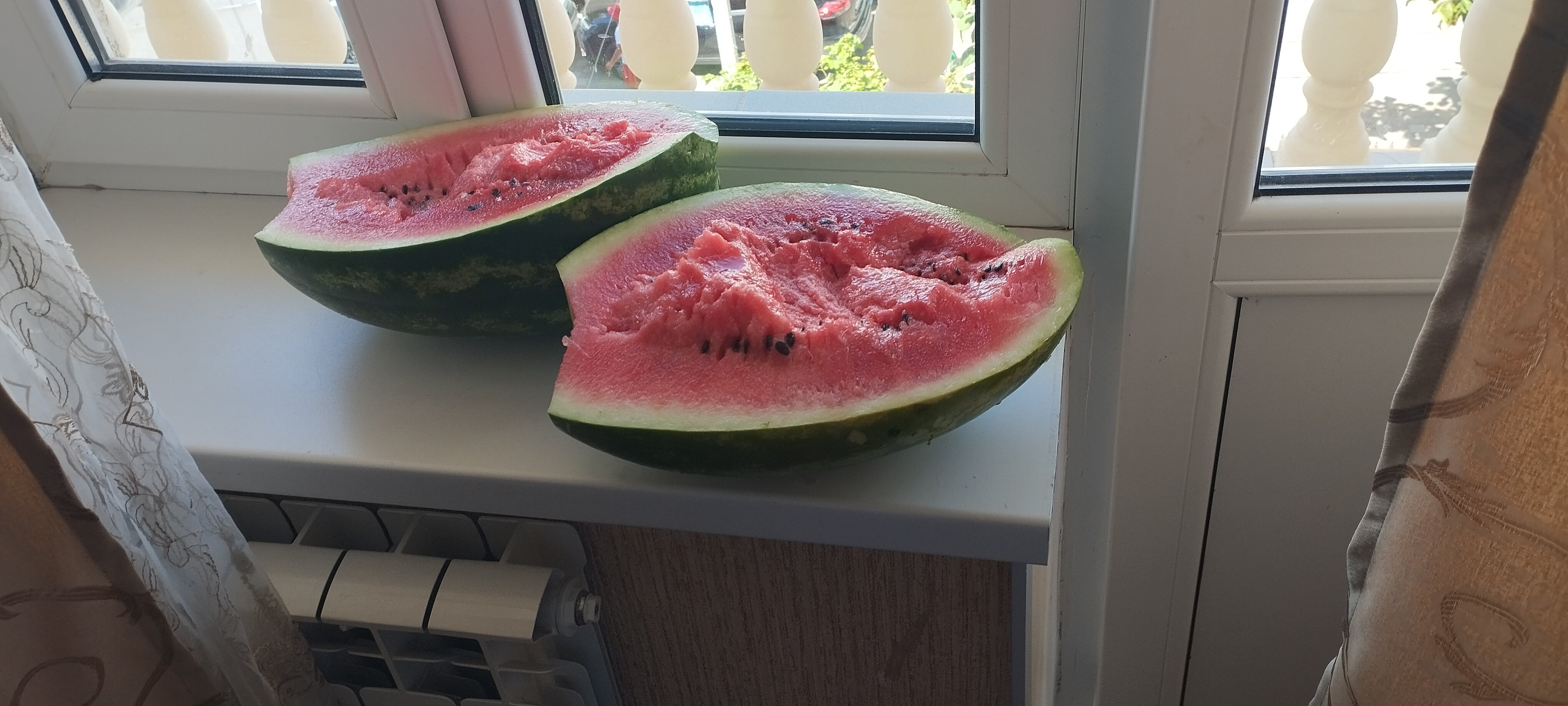 Фото Христакис