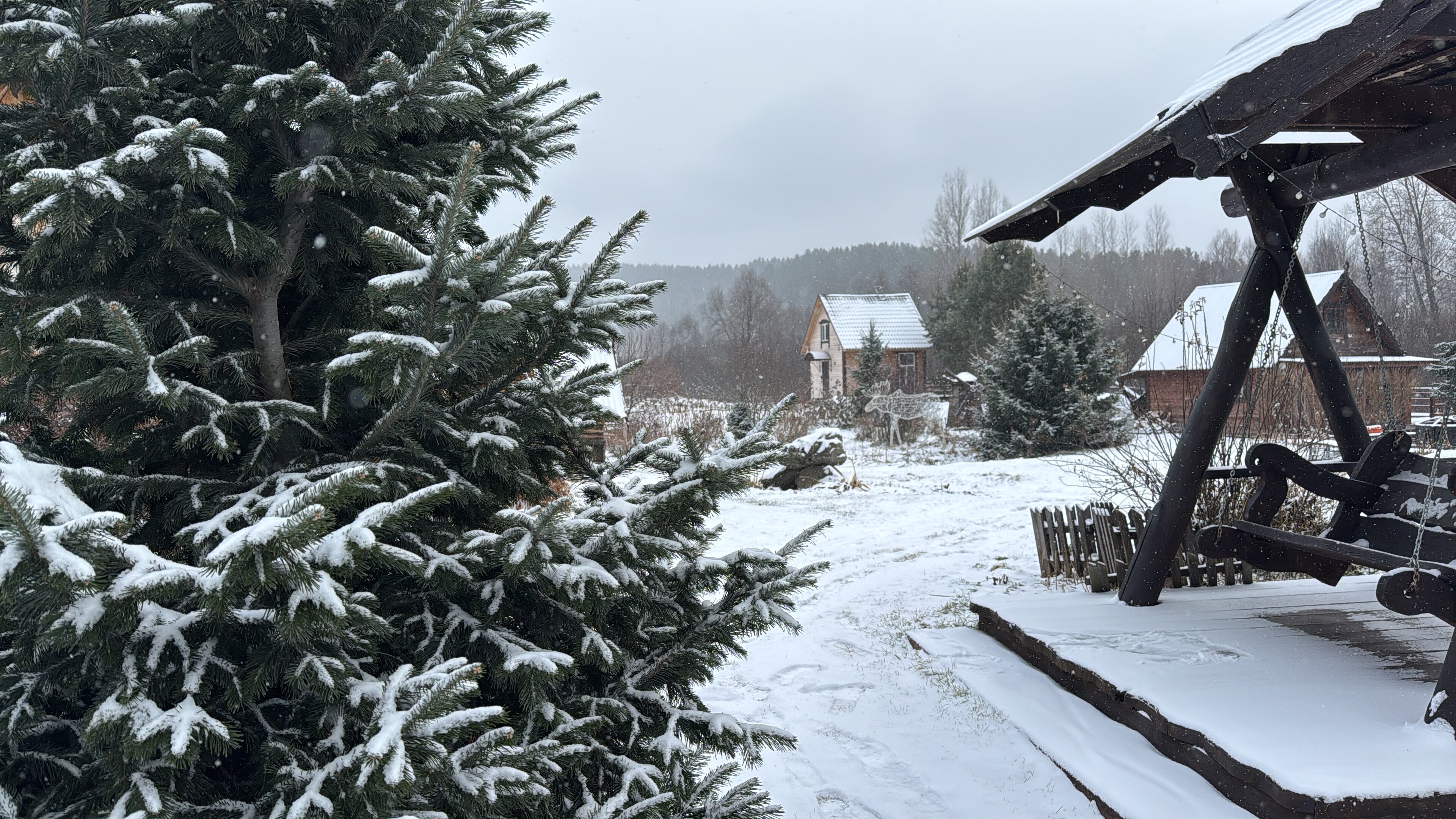 Фото Новые соседи