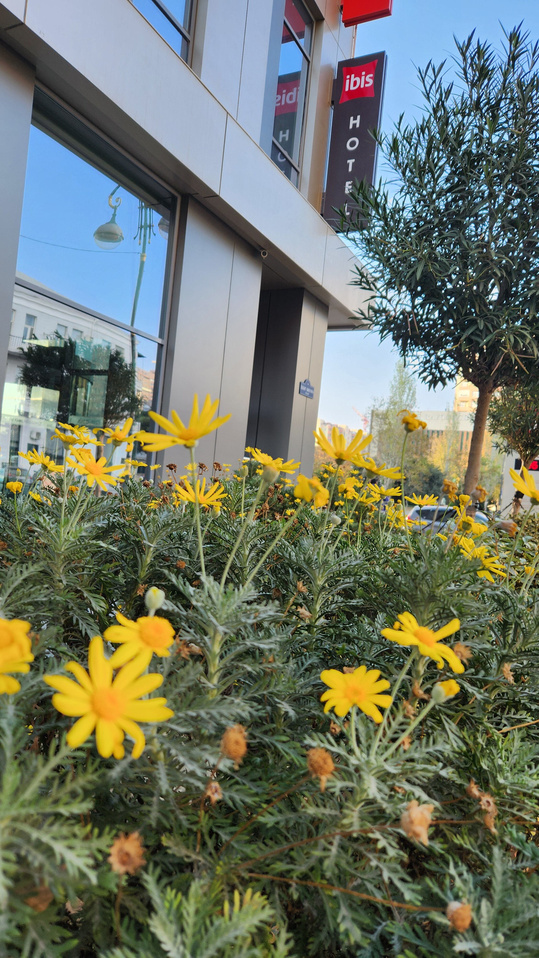 Фото Ibis Baku City