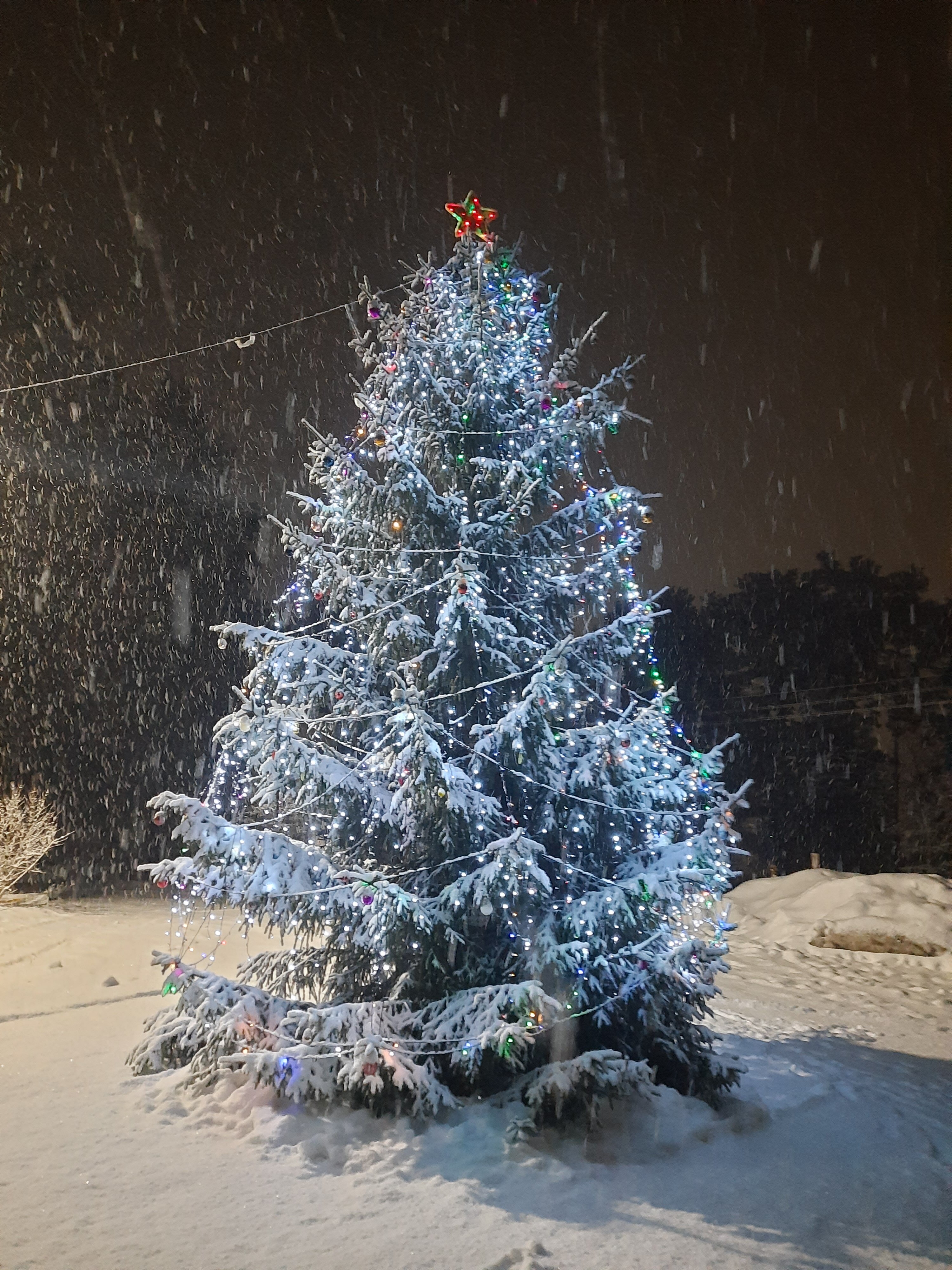 Фото Усадьба помещика Гуляева