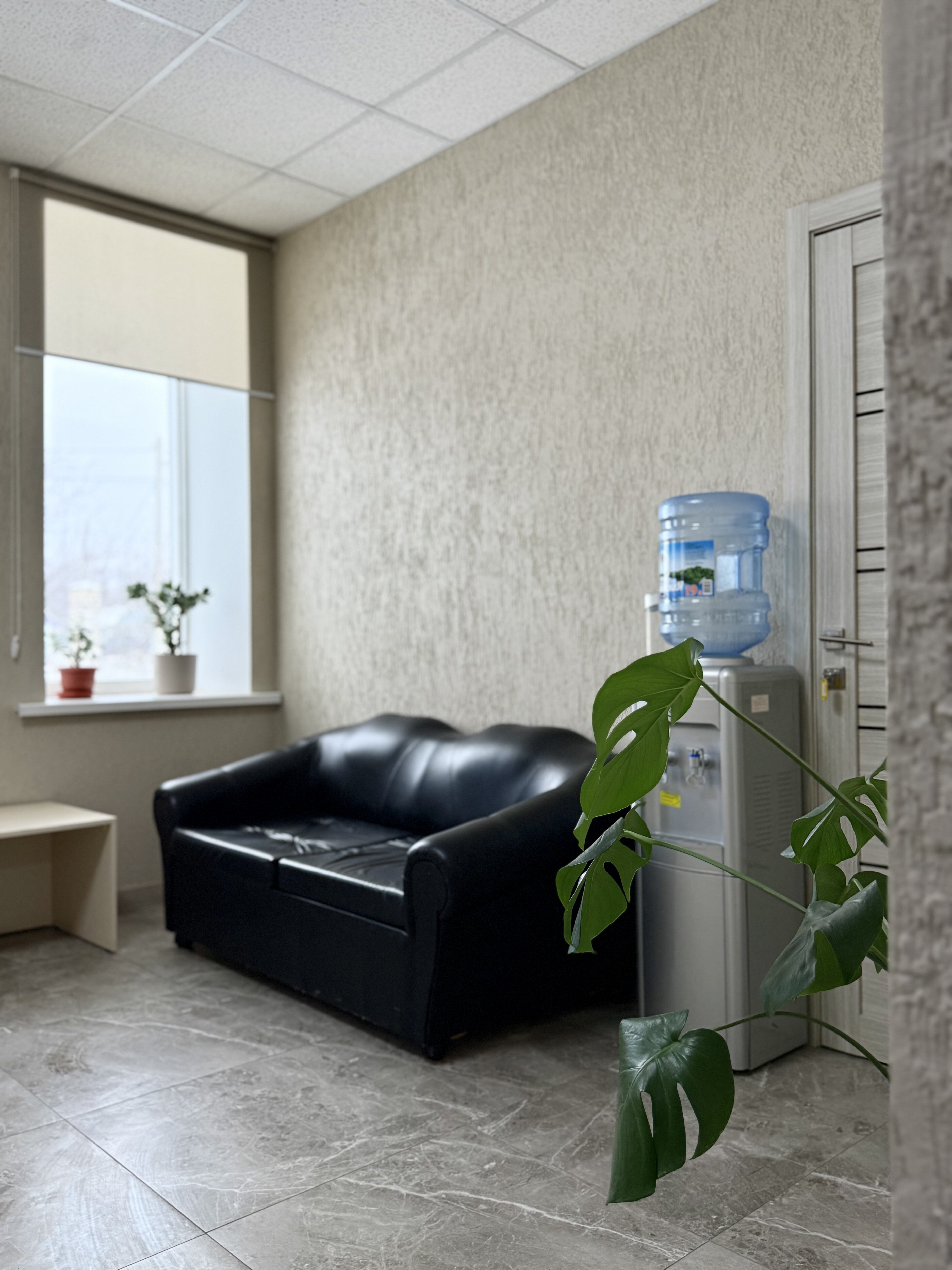 Фото Медуза