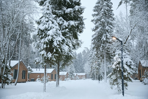 Дом в аренду Рябиновый берег в Пушкино