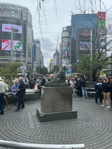 Hachiko, monument, memorial, Tokyo Metropolis, Special Ward
