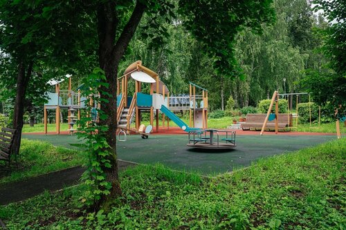 Берёзки фото 8