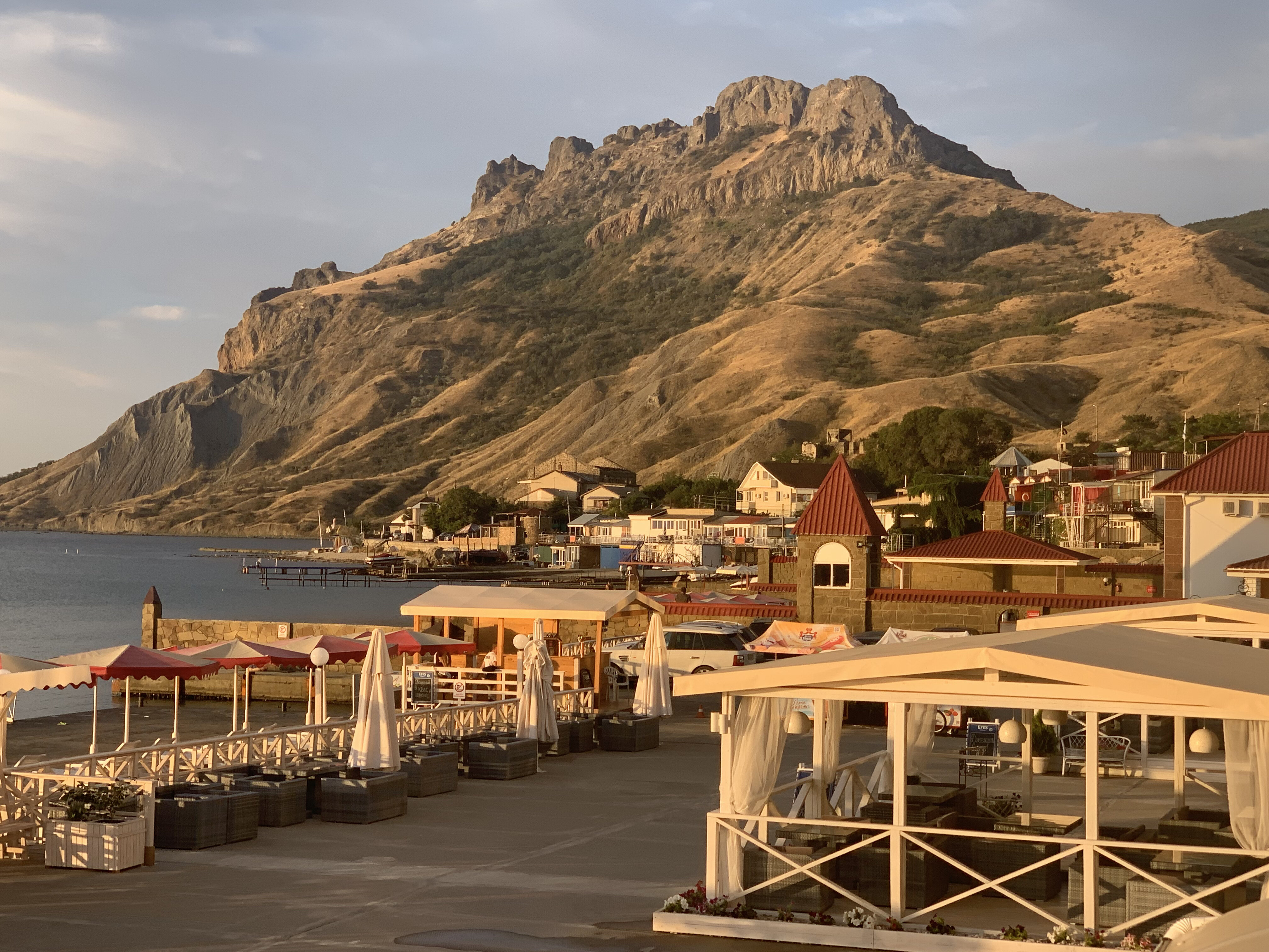 Фото Фламинго