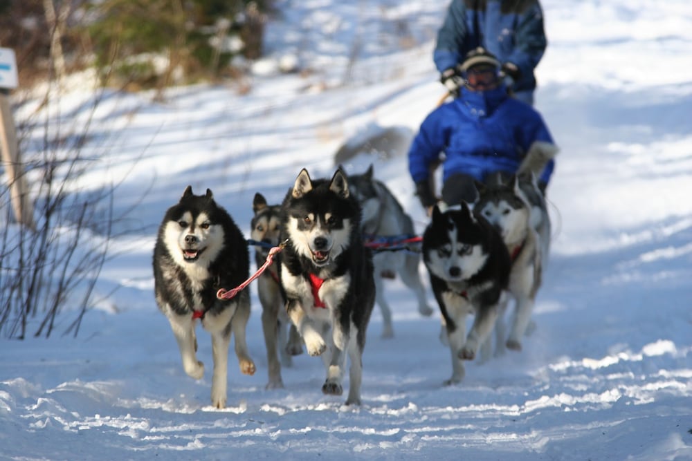 Фото Auberge du Lac Taureau