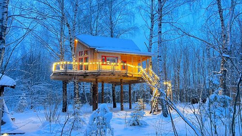 Иное жильё Лапочкино гнездо Дома на деревьях в Тульской области