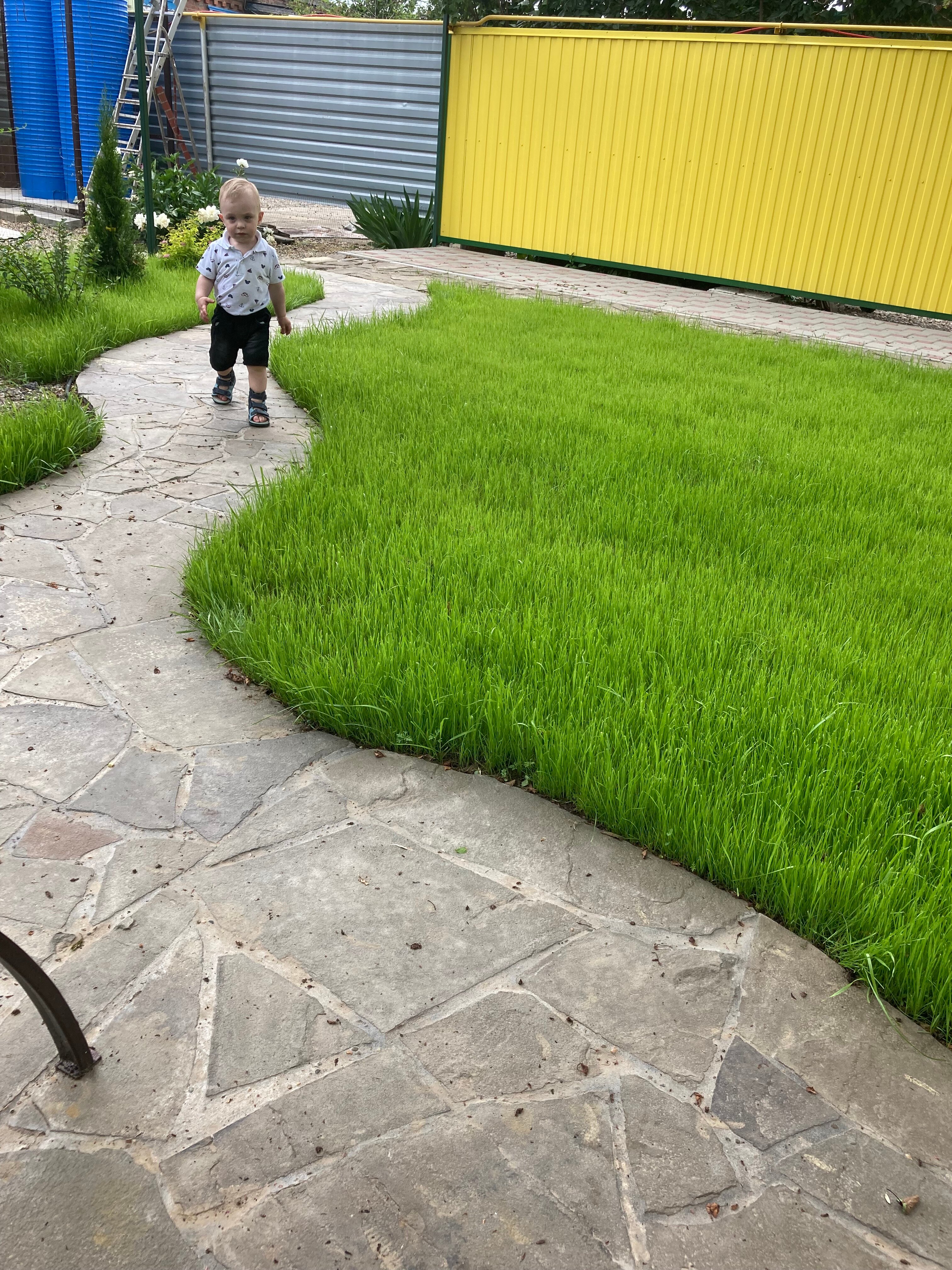 Фото Уютный дворик