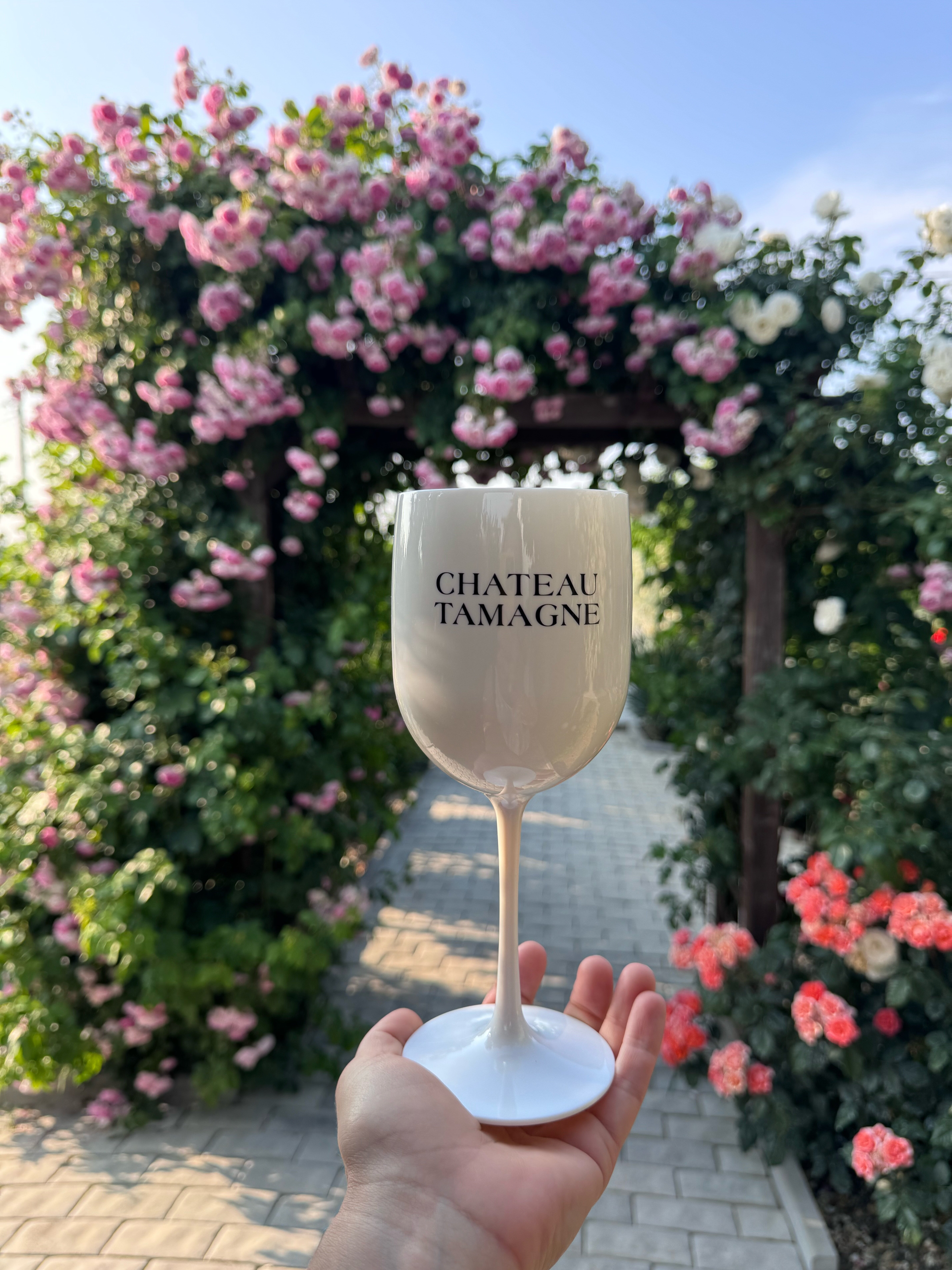 Фото Гранд Камелия