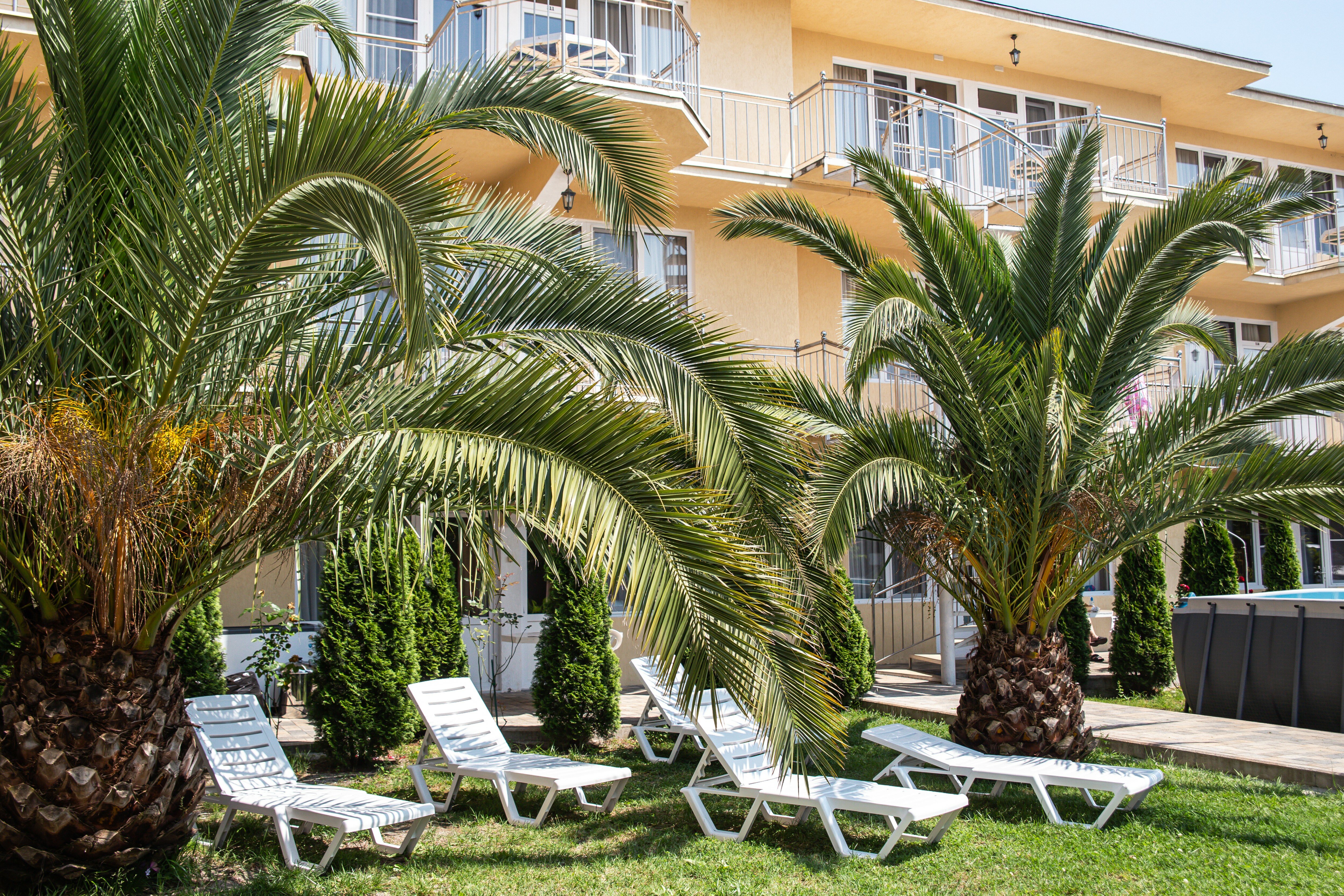 Фото отеля 5