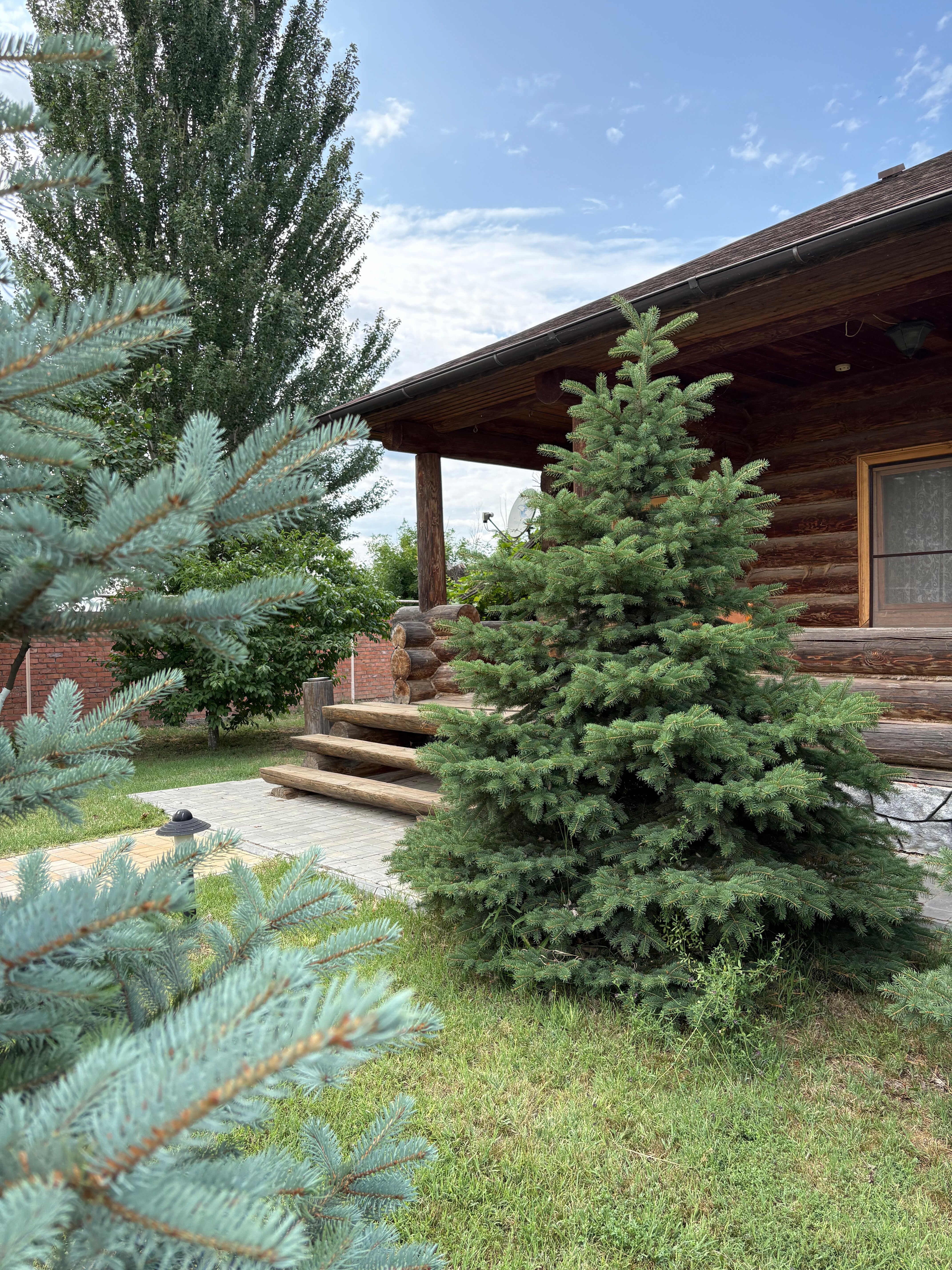 Фото Трофей