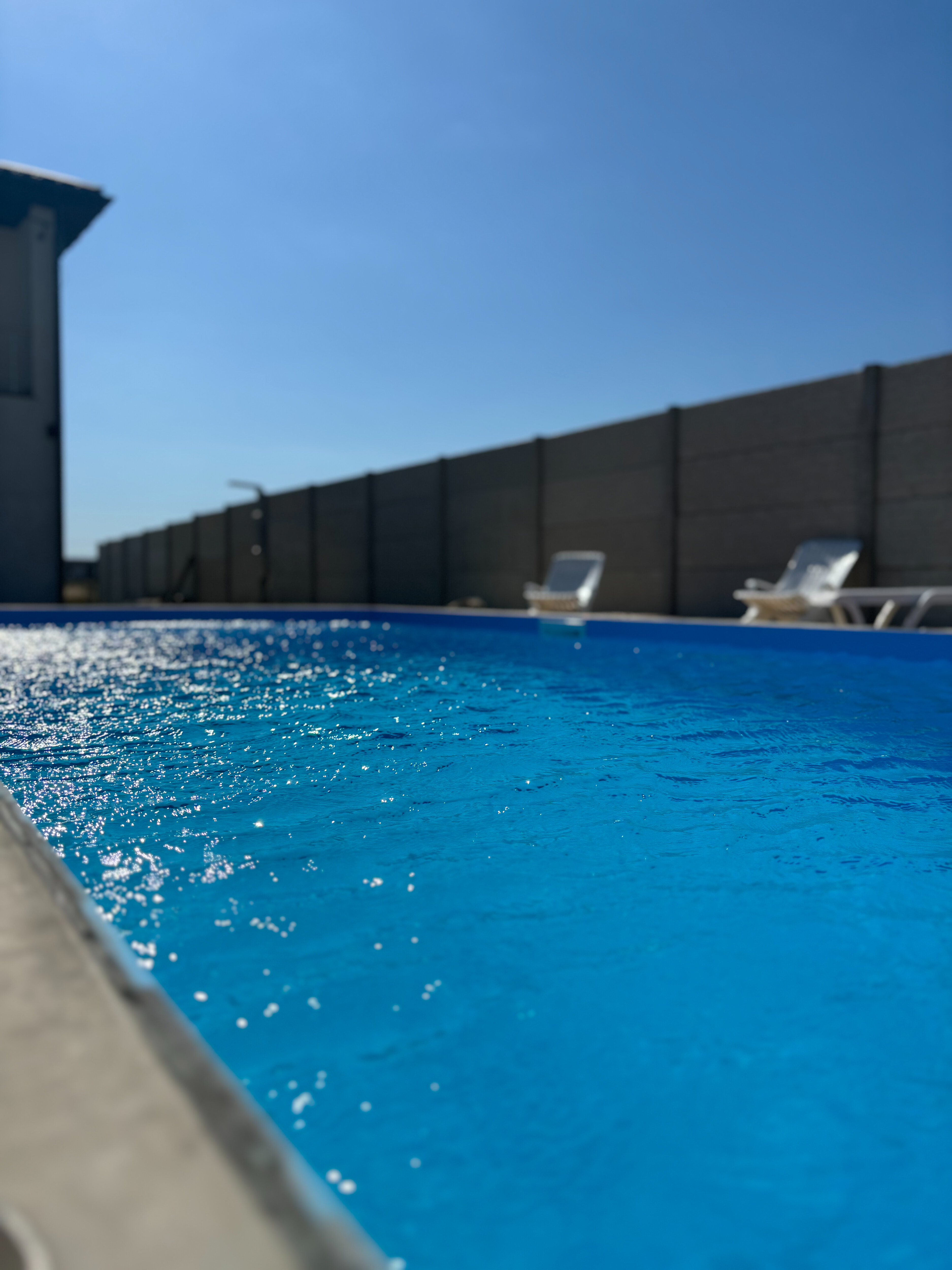 Фото Лаванда