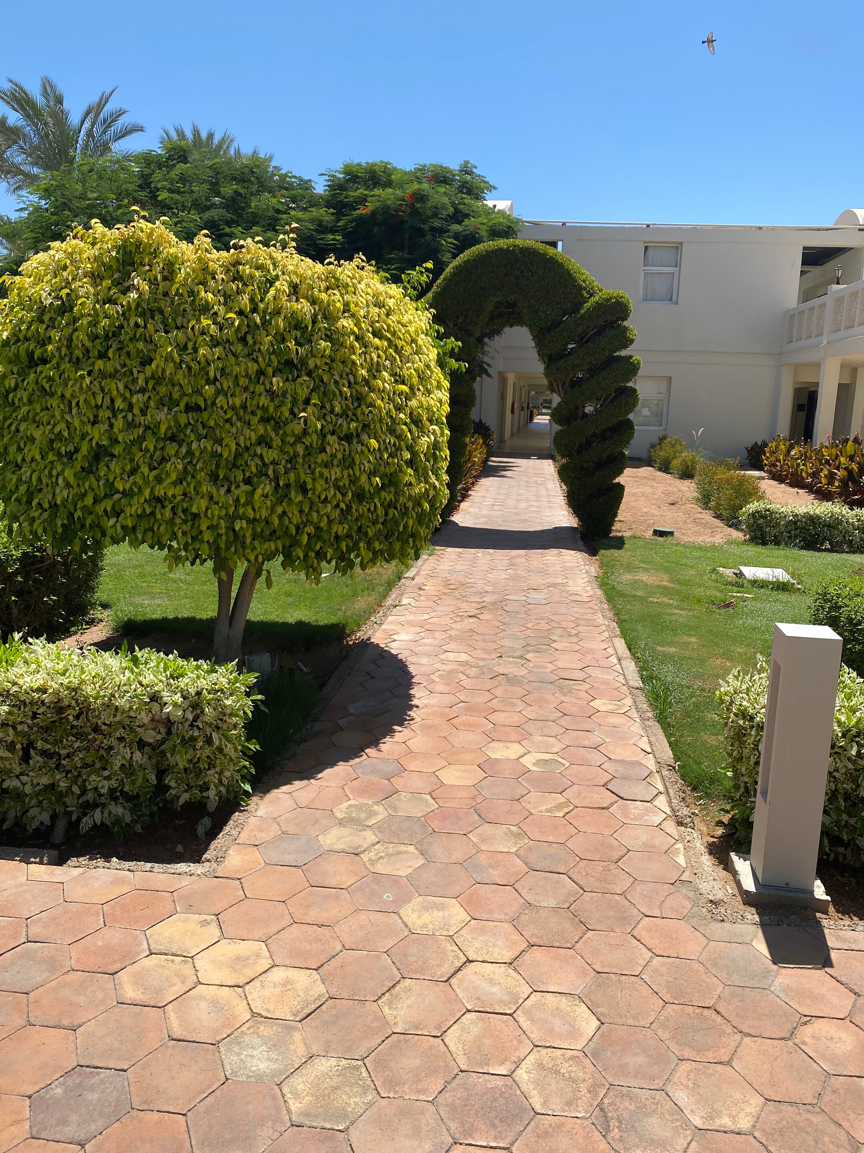 Фото Sentido Reef Oasis Senses Aqua Park Resort