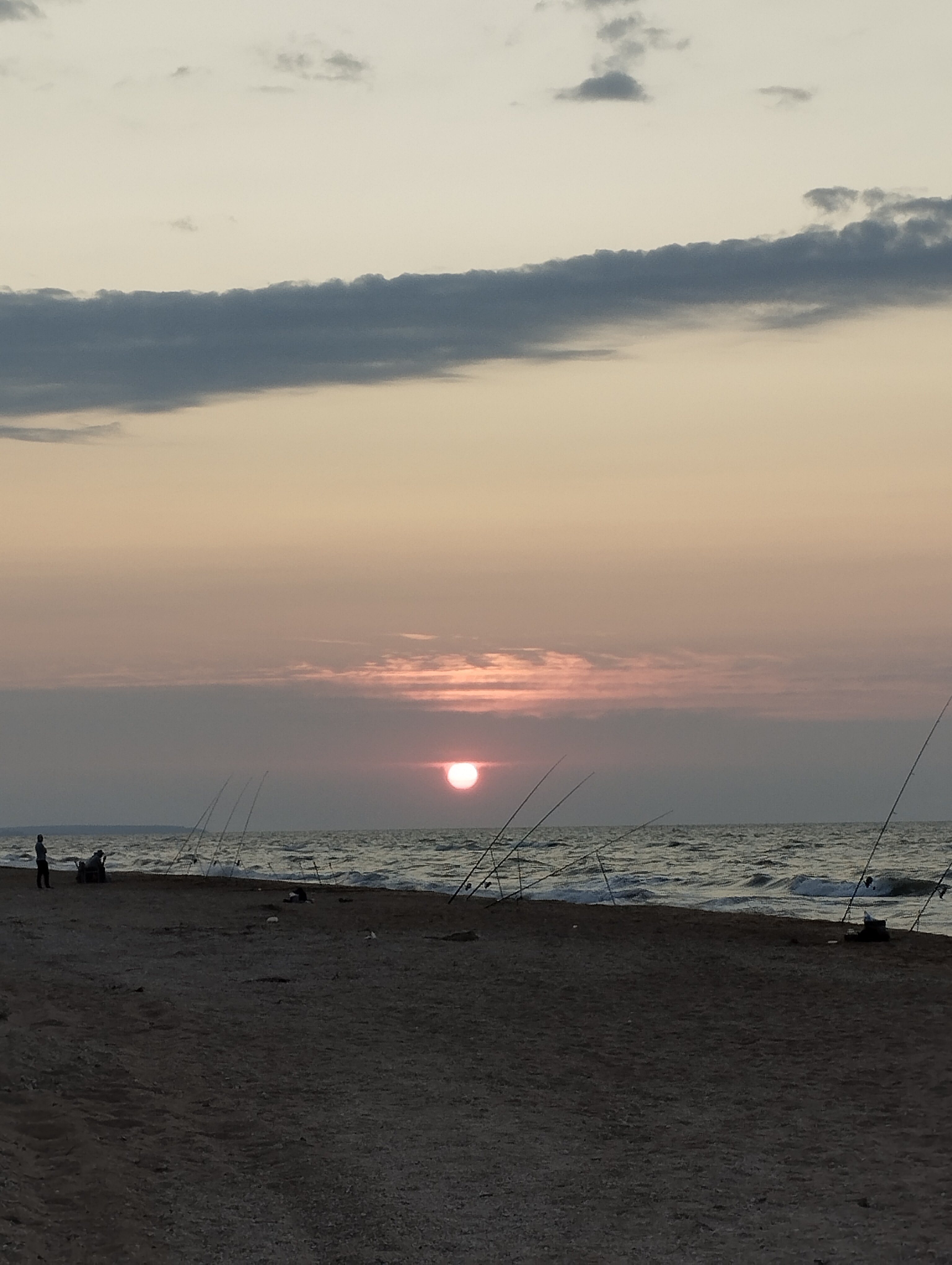 Фото Pro Отдых & Еду