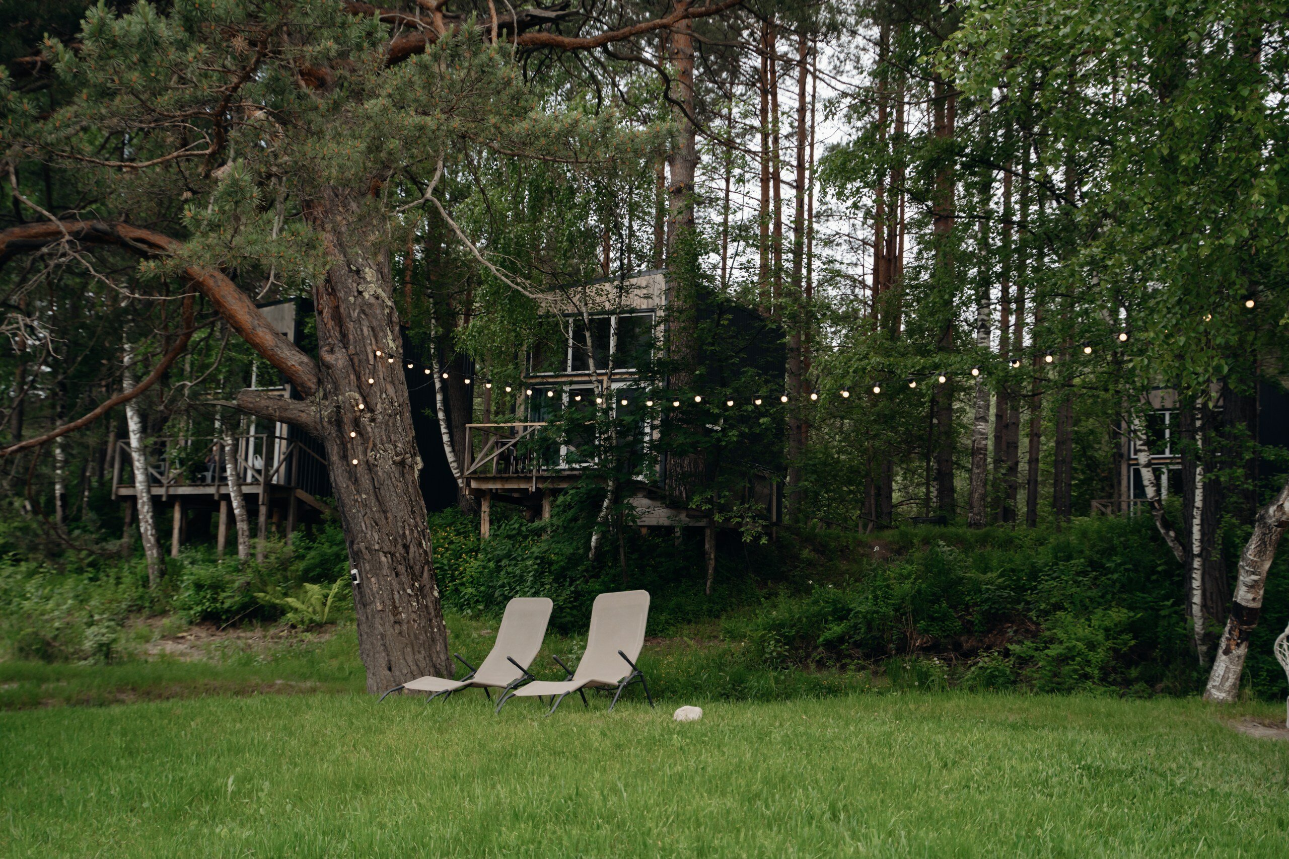 Фото Камышла Парк