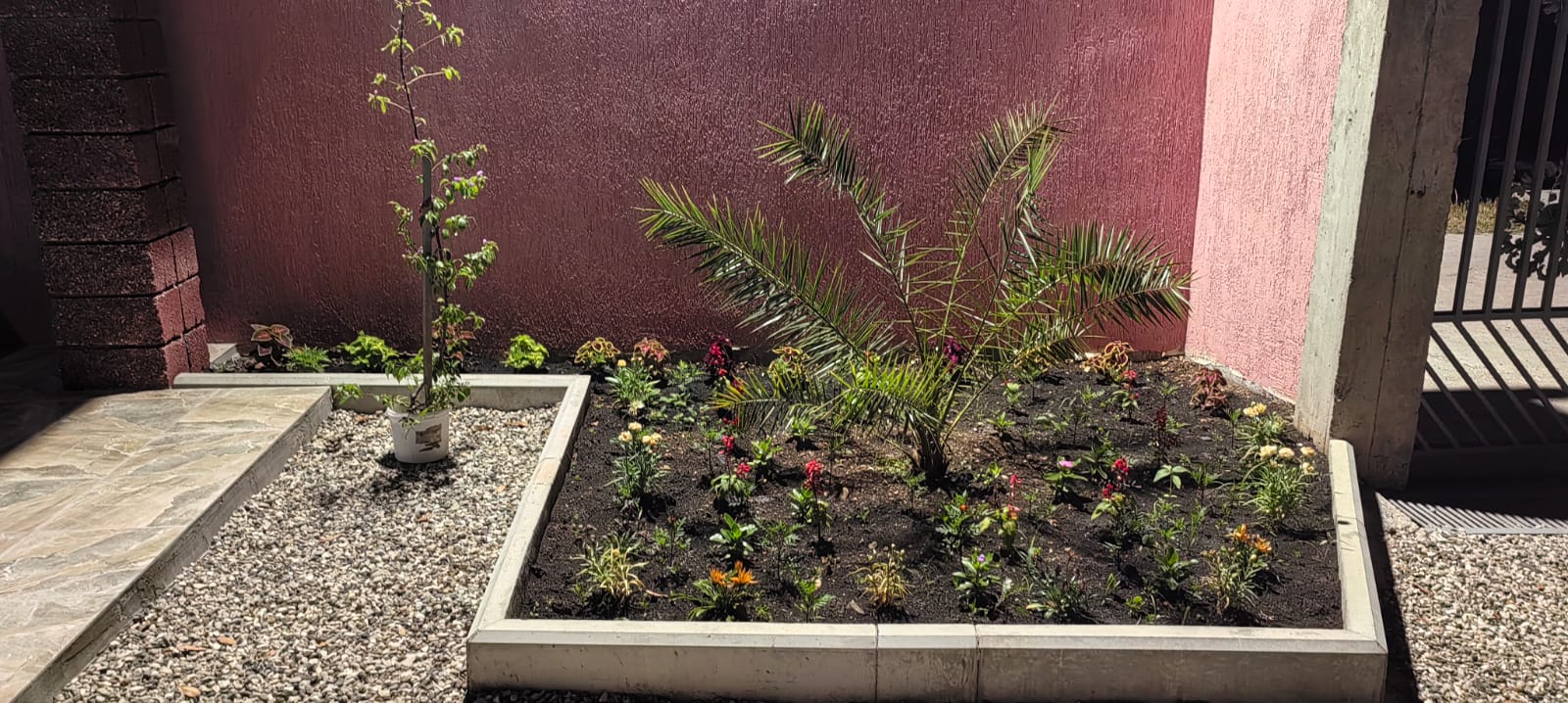 Фото Розовая лагуна