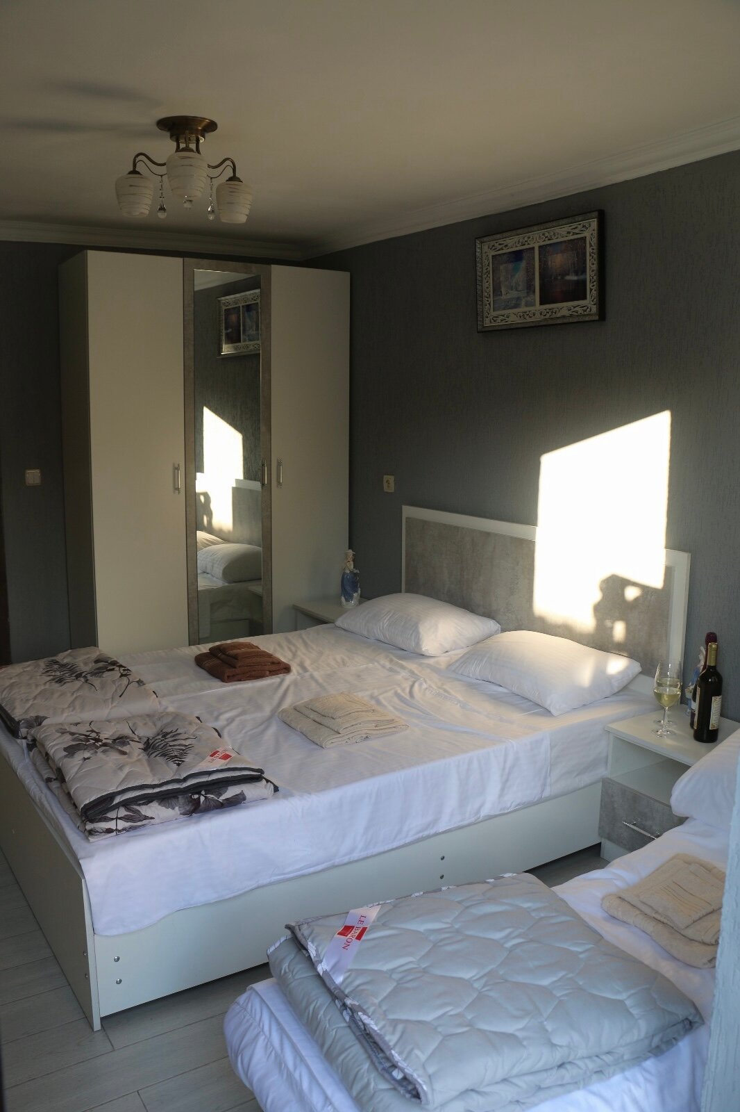 Фото Орхидея