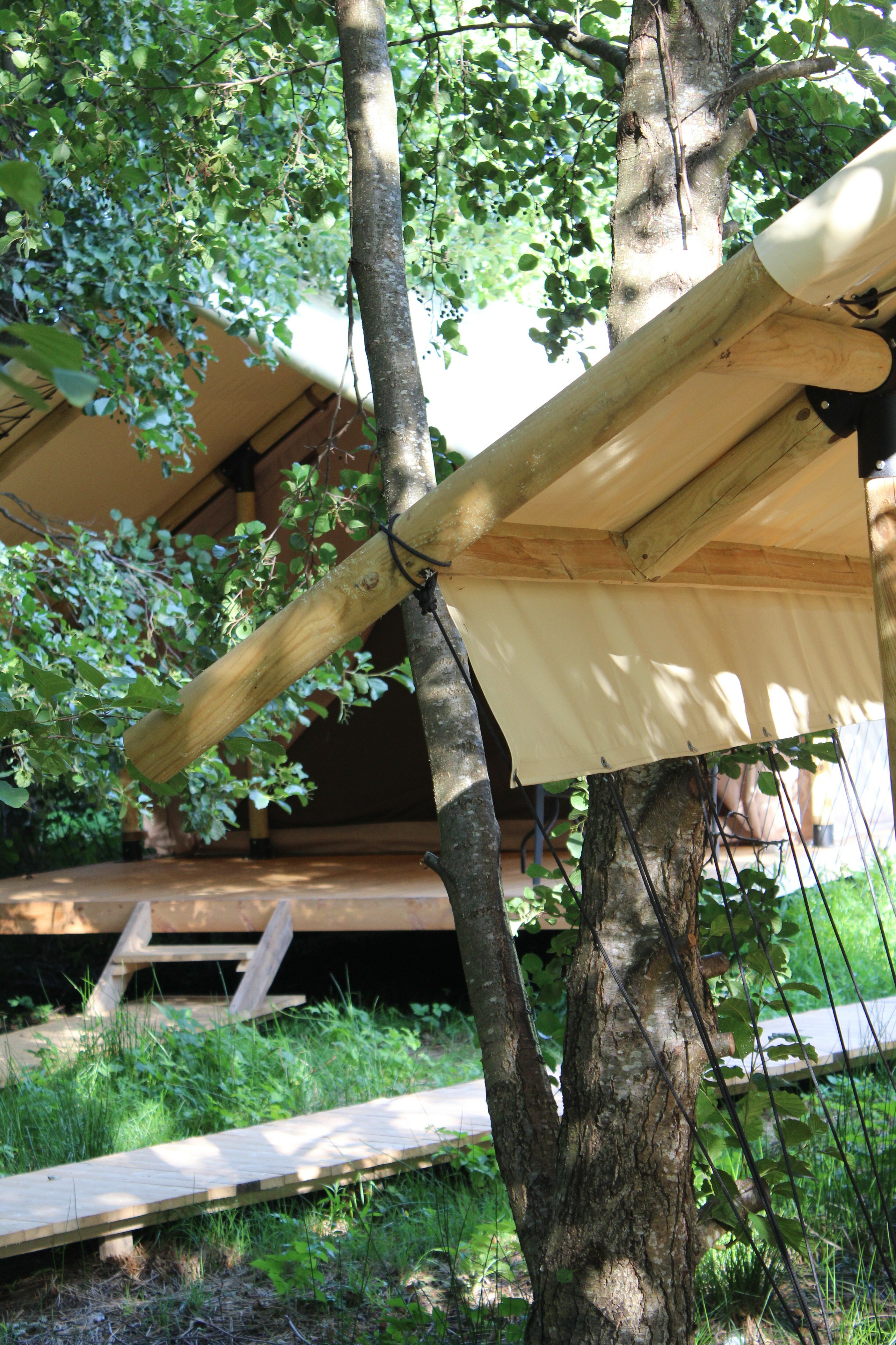 Фото Малина