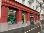 Daily Tobacco (Marshala Nedelina Street, 28), estanco