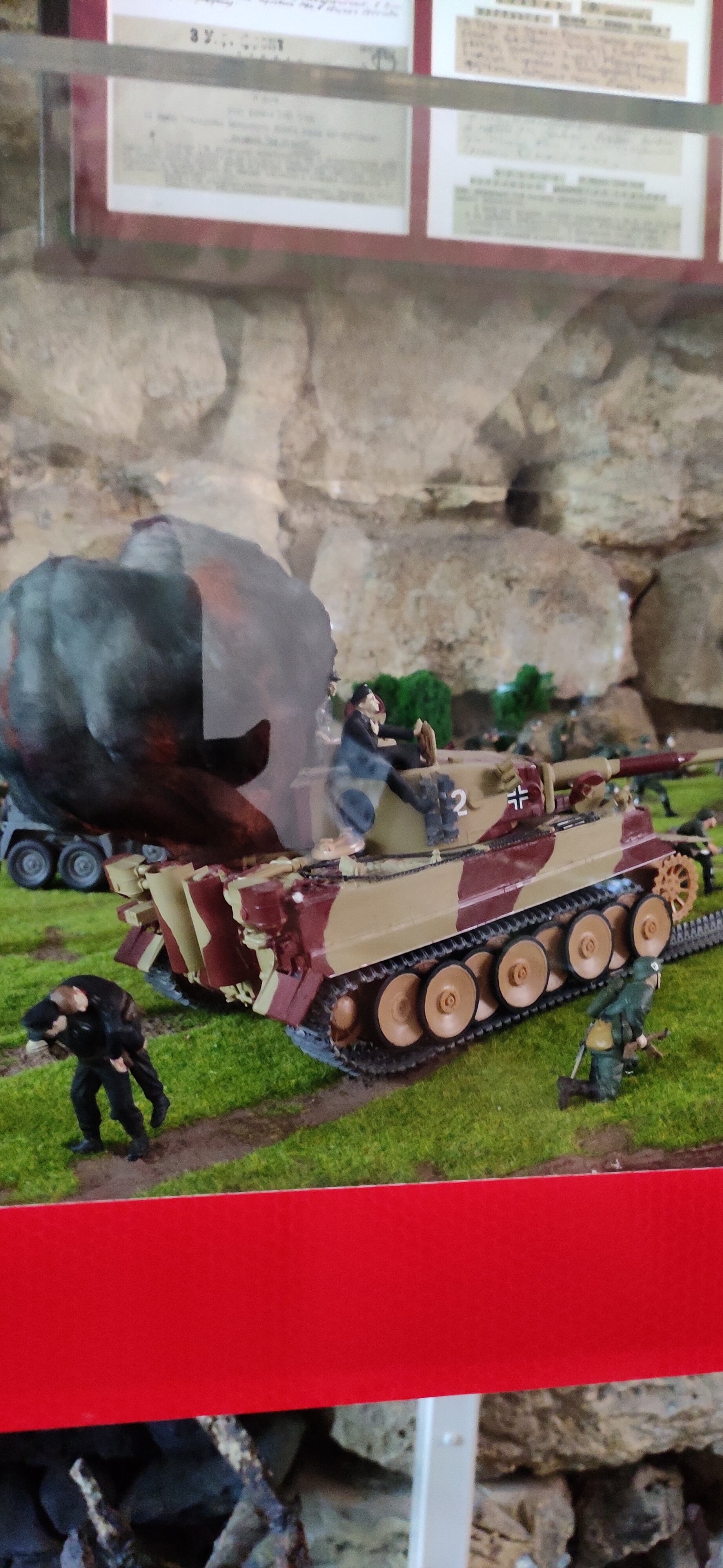 Фото Домашний