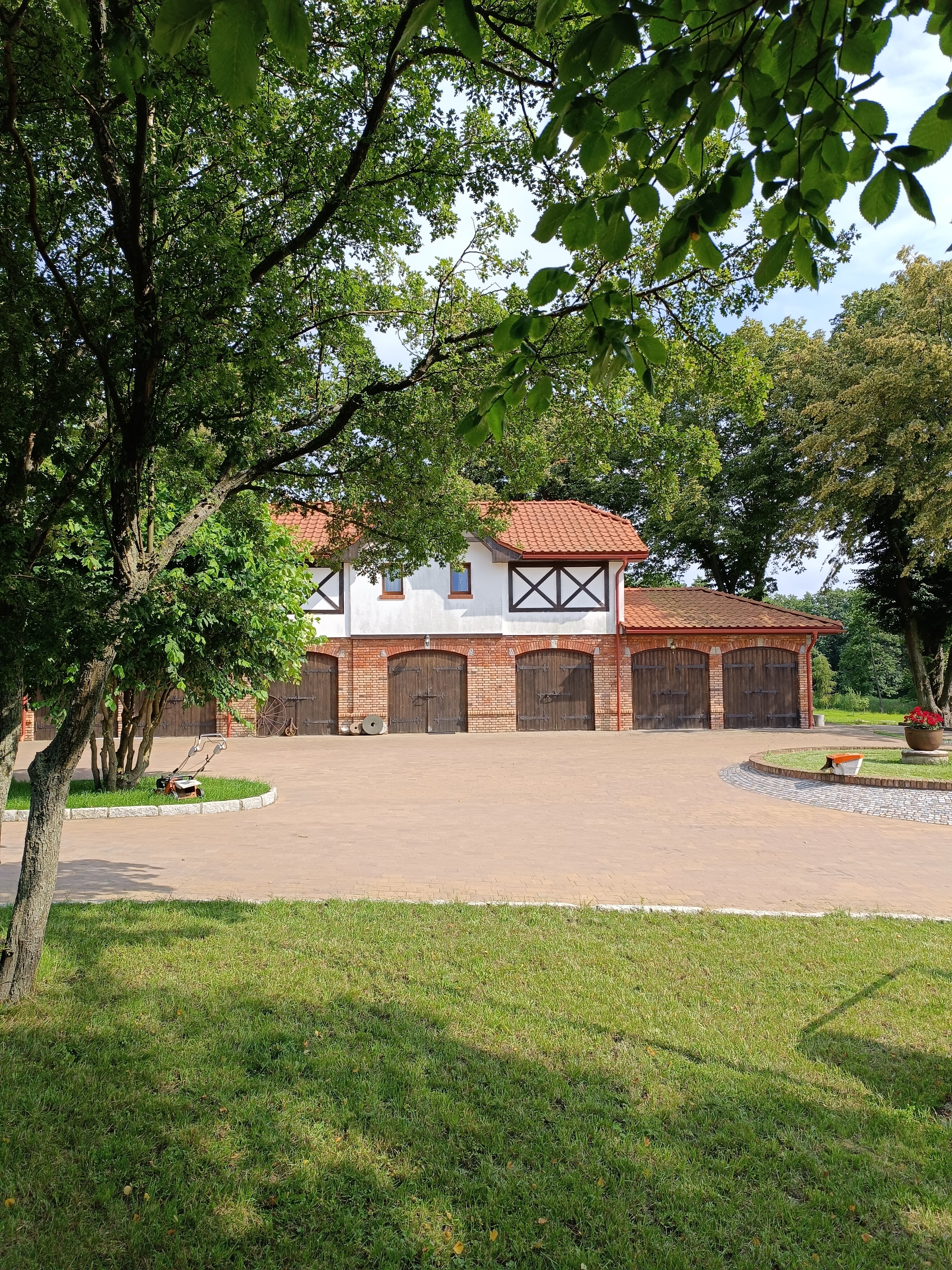 Фото Белый филин