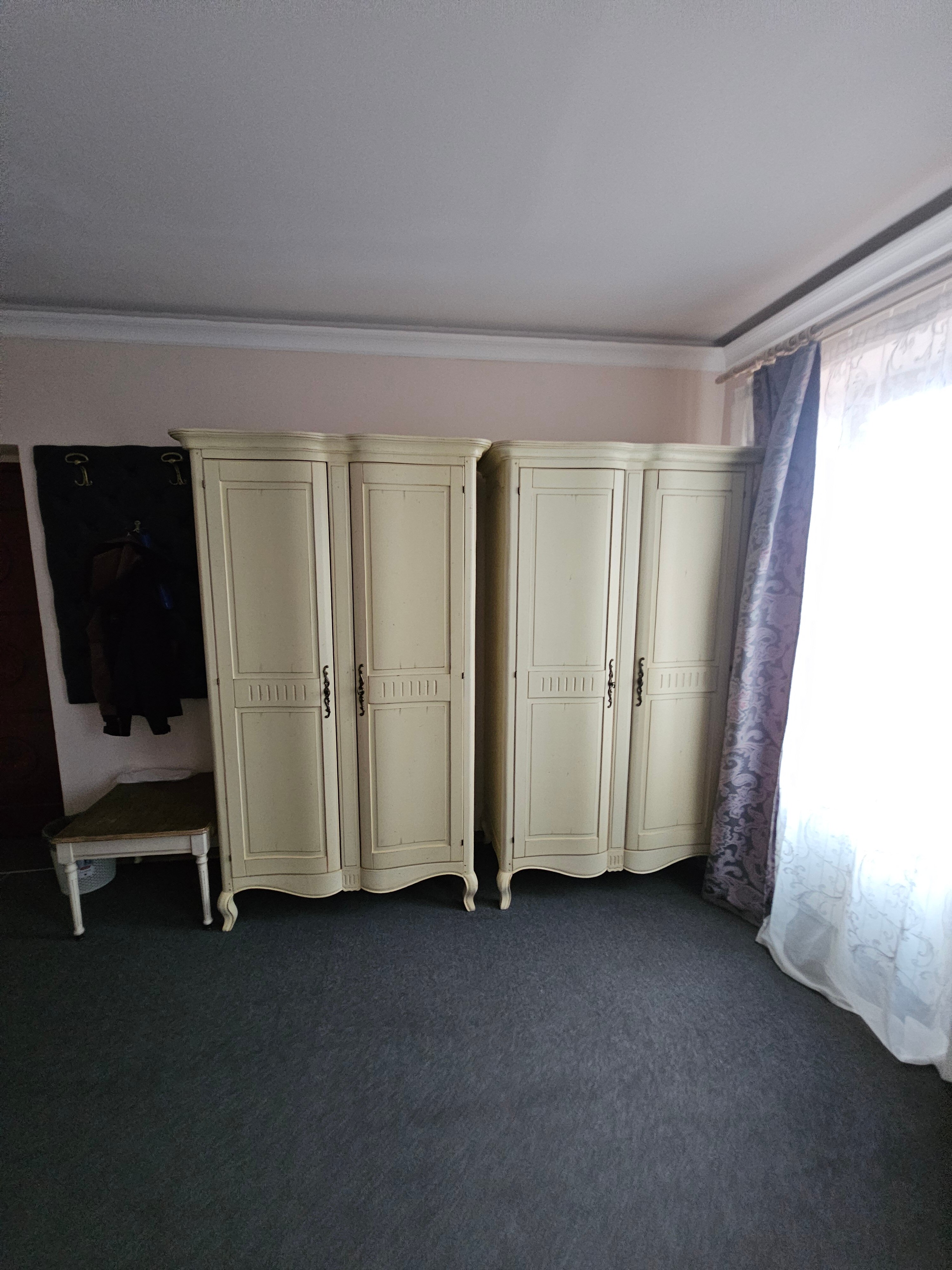 Фото Серый гусь