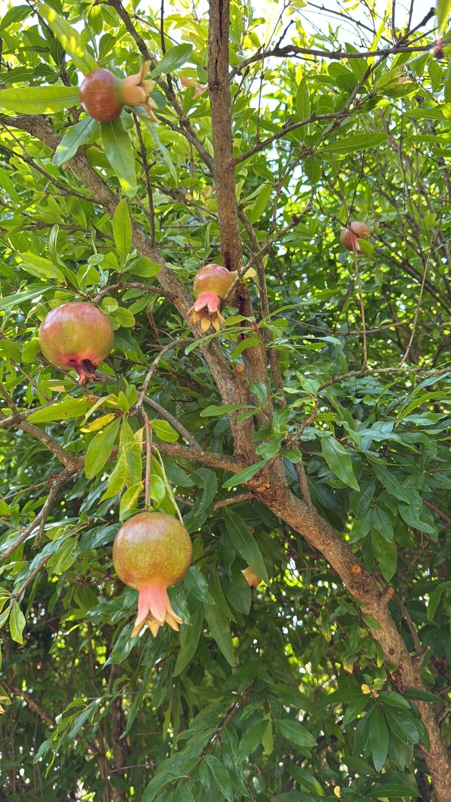 Фото Домик у моря