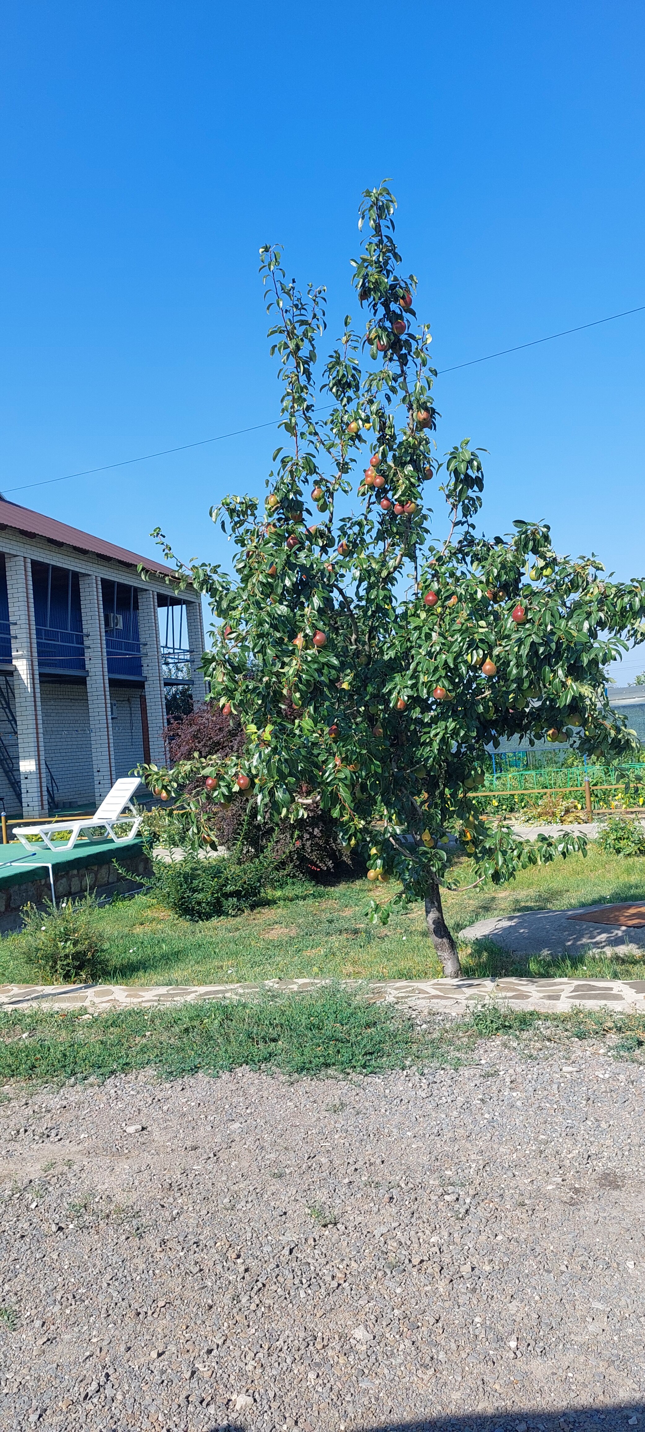 Фото Дом приезжих Жемчужина