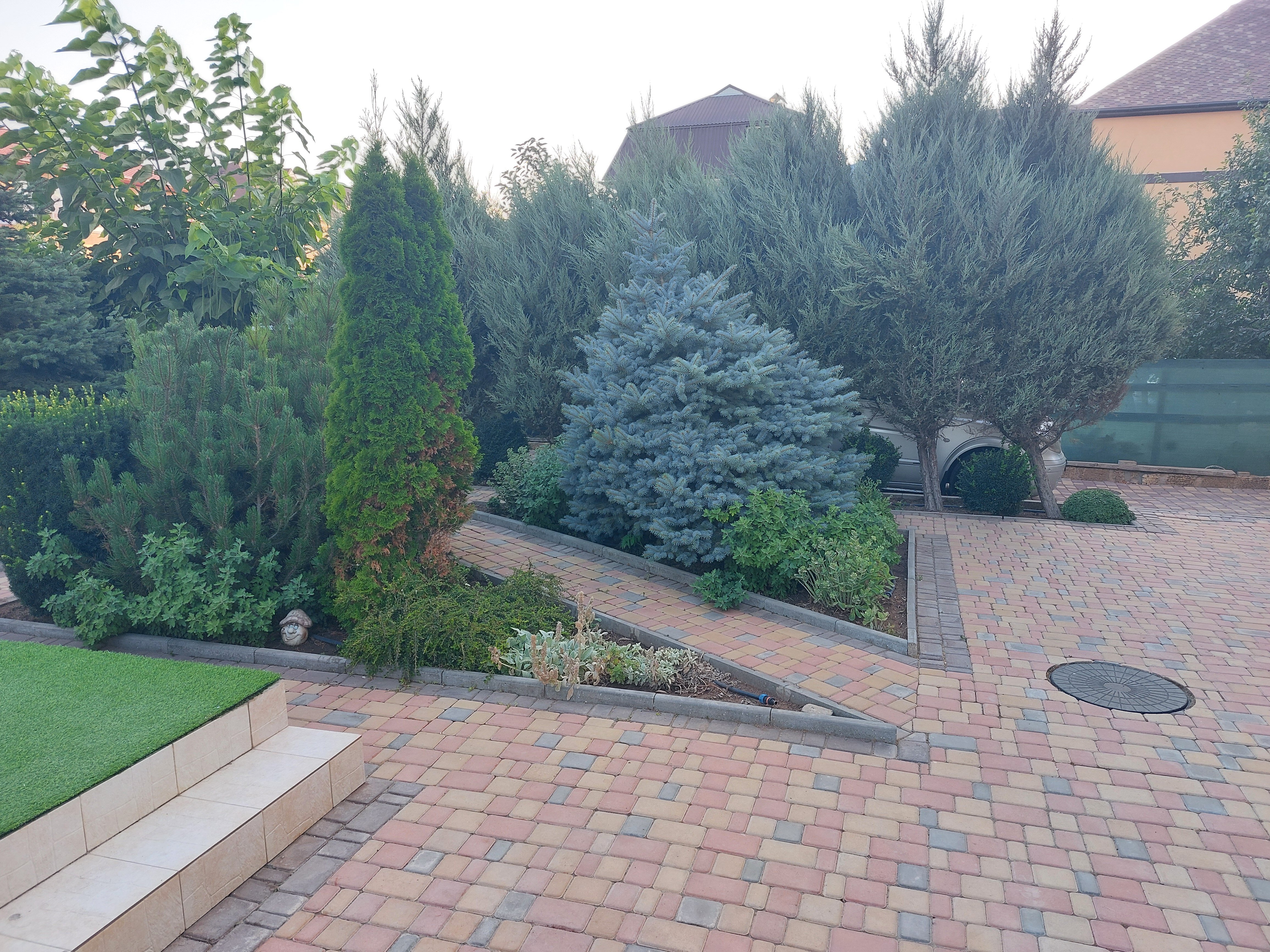 Фото Вилла Маэстро