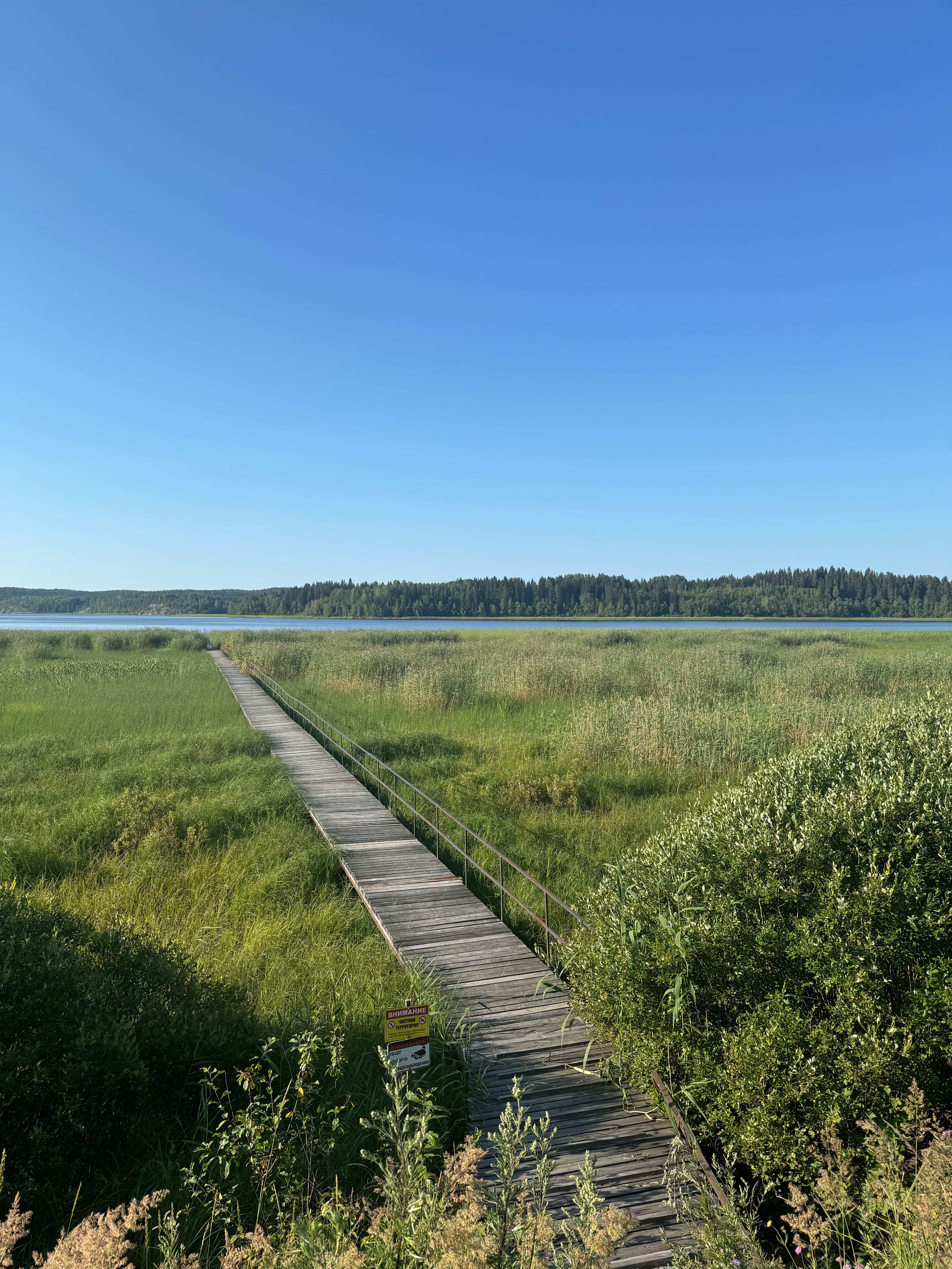 Фото Ярви Хаус