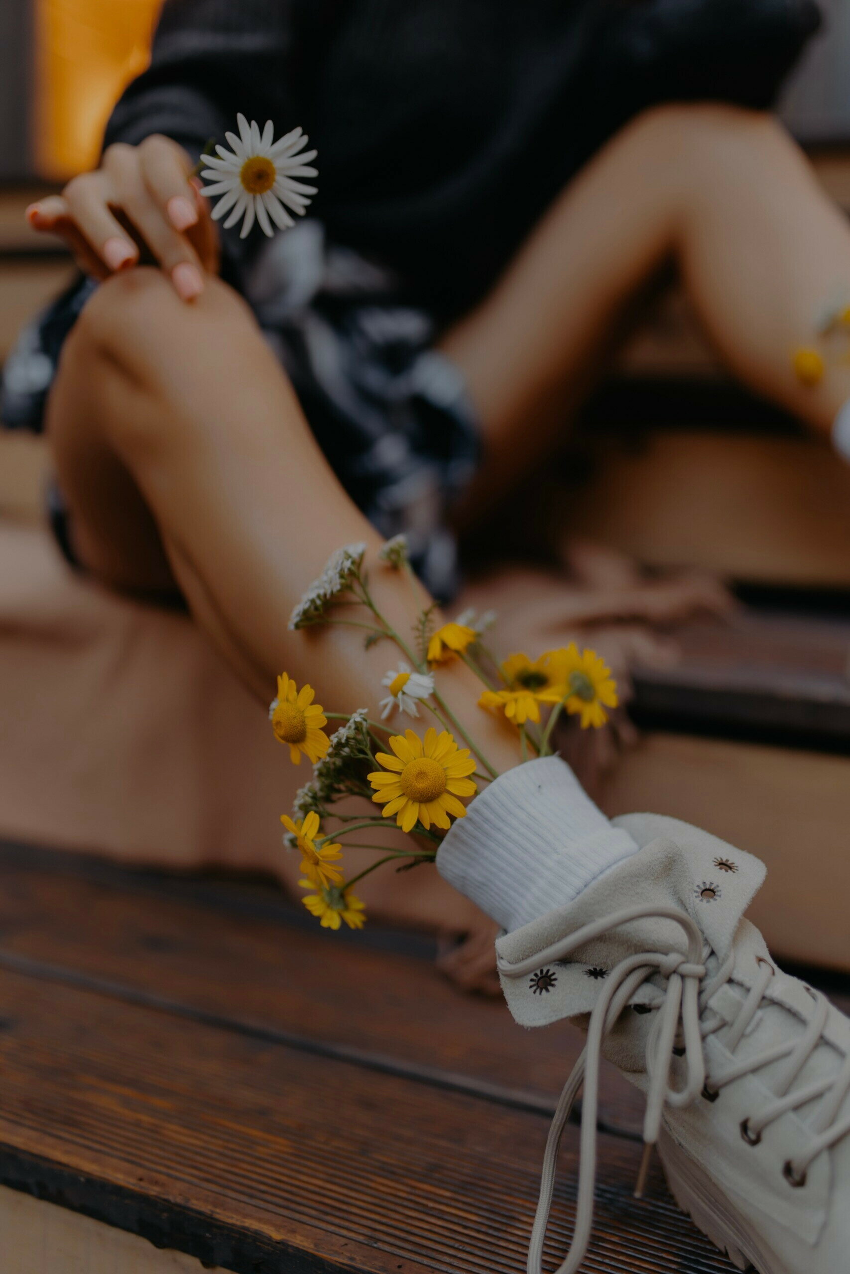 Фото Место под соснами