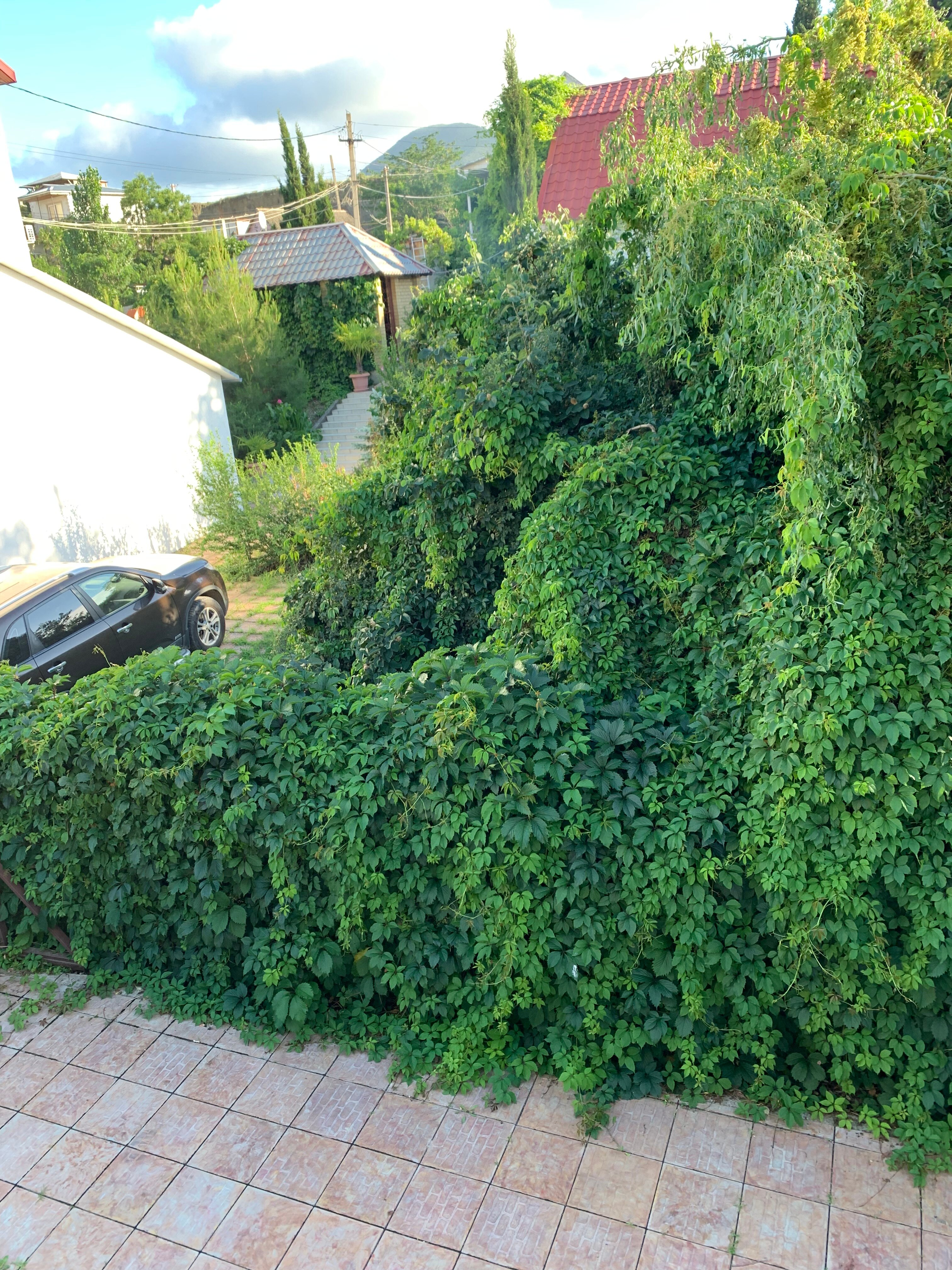 Фото Морские приключения