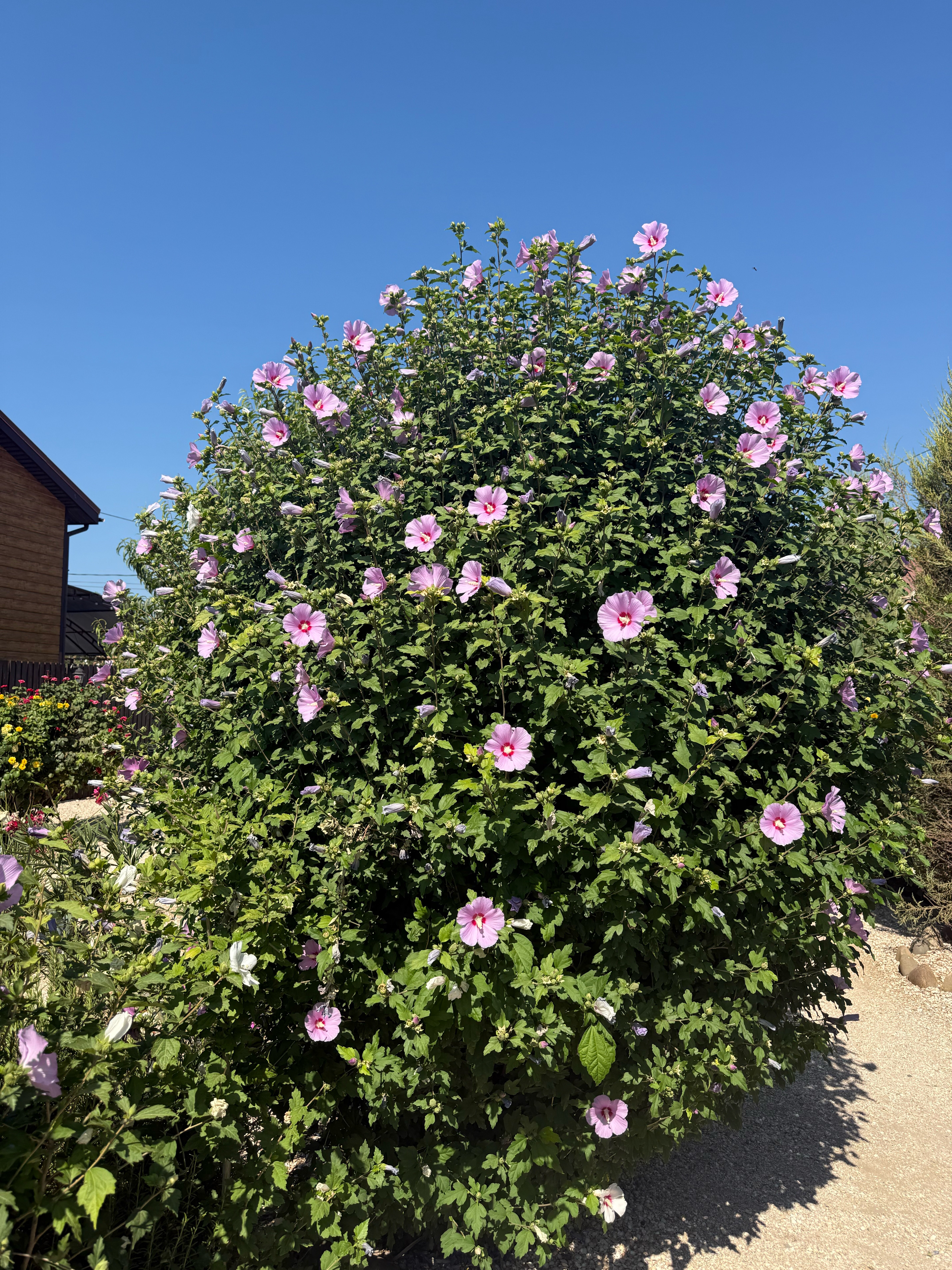 Фото Дом для отдыха на Фрунзе