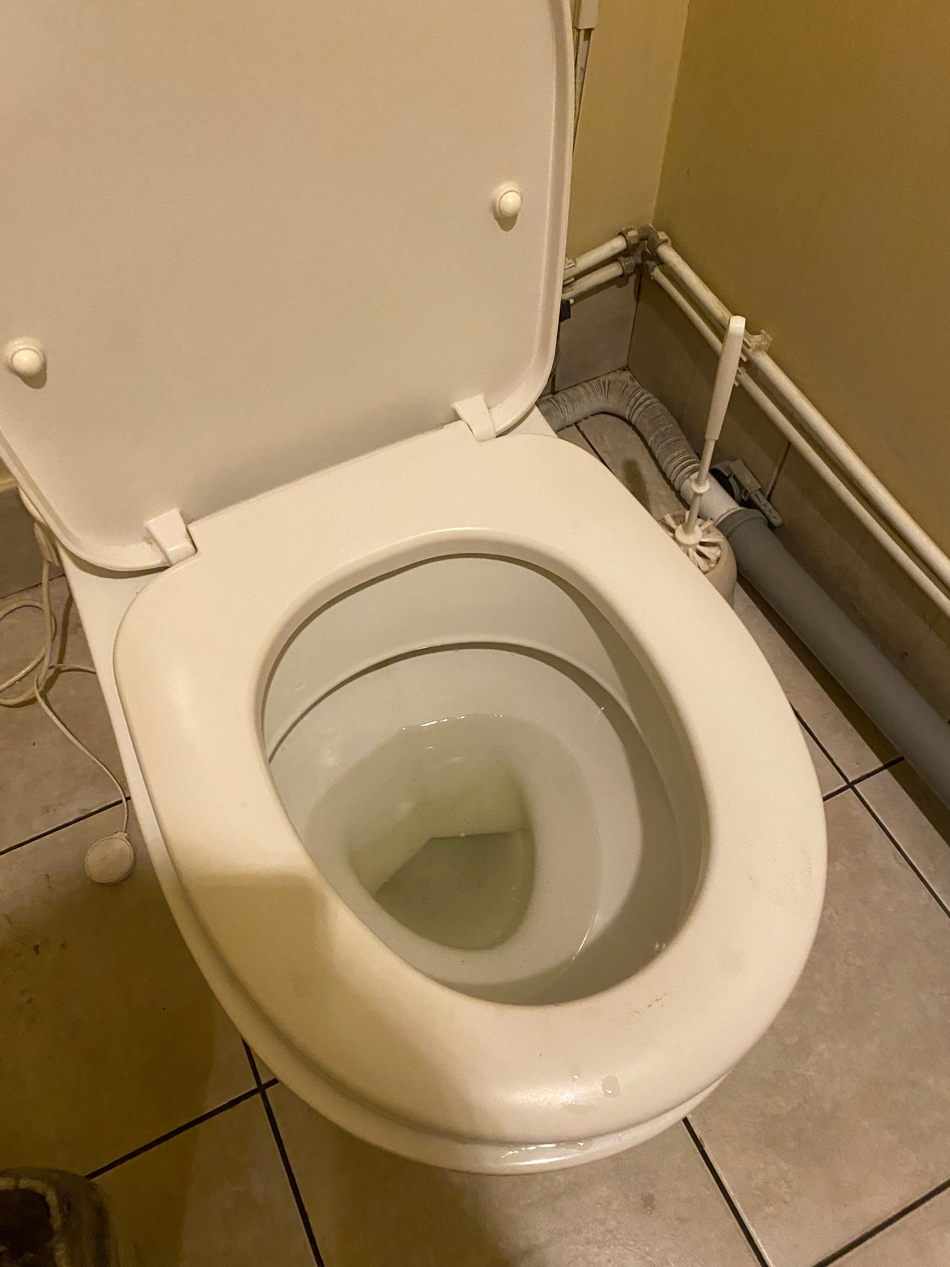 Фото Rinaldi Арт