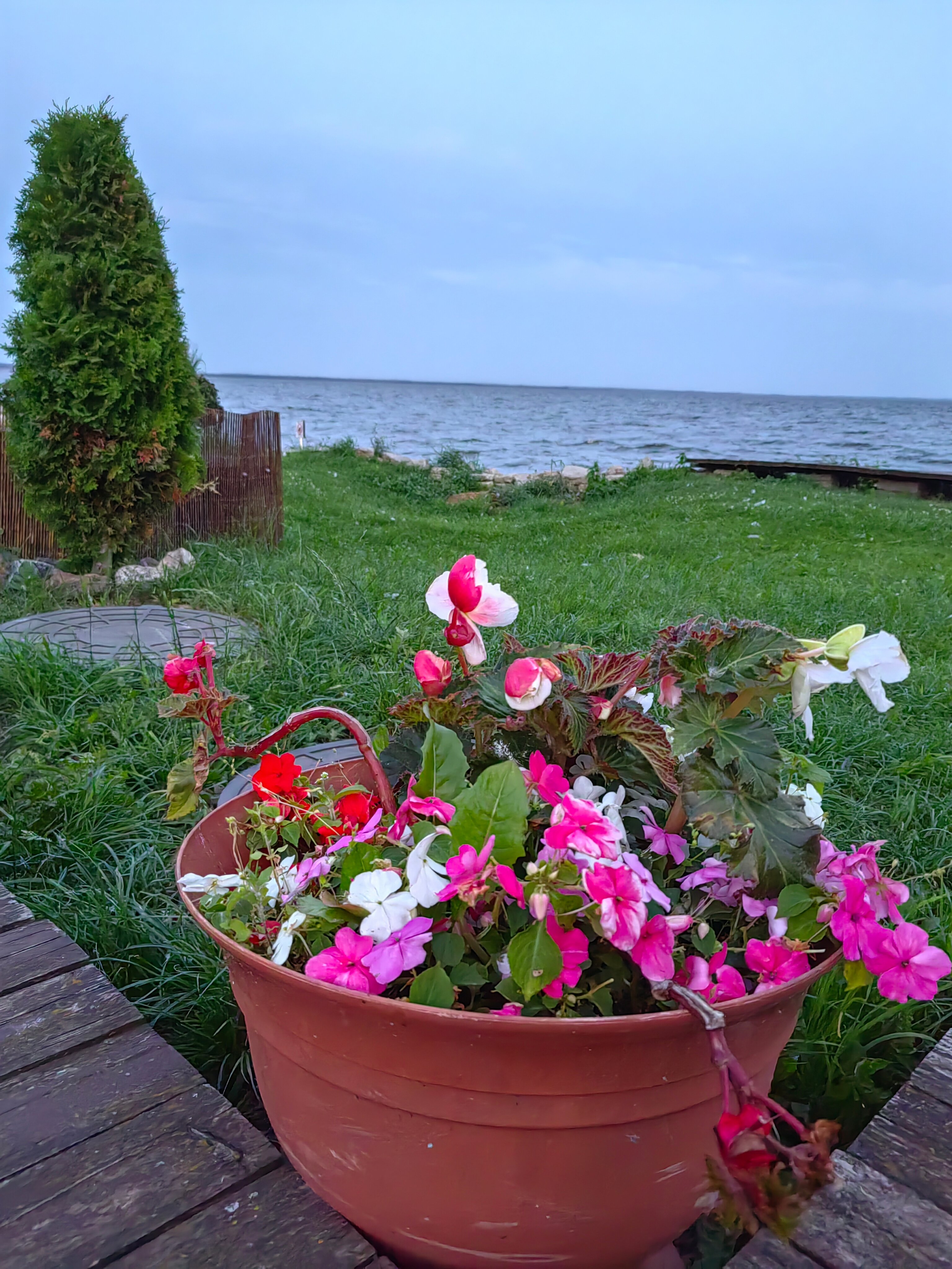 Фото Тихая гавань