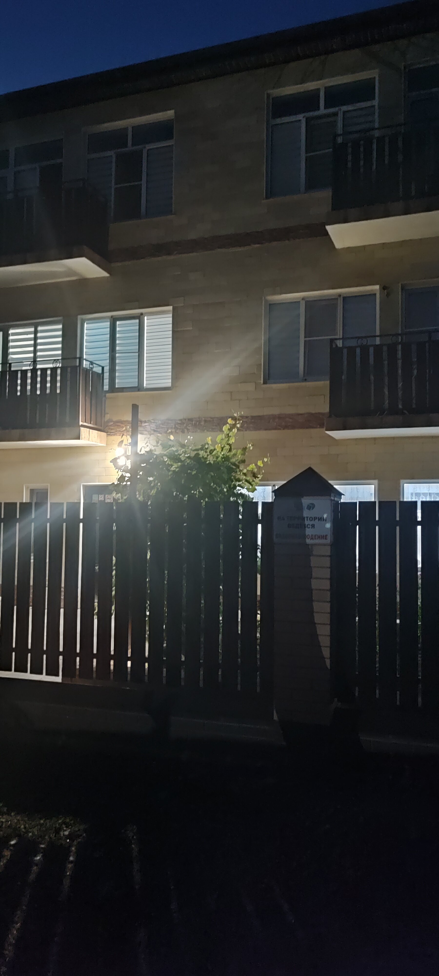 Фото Светлана