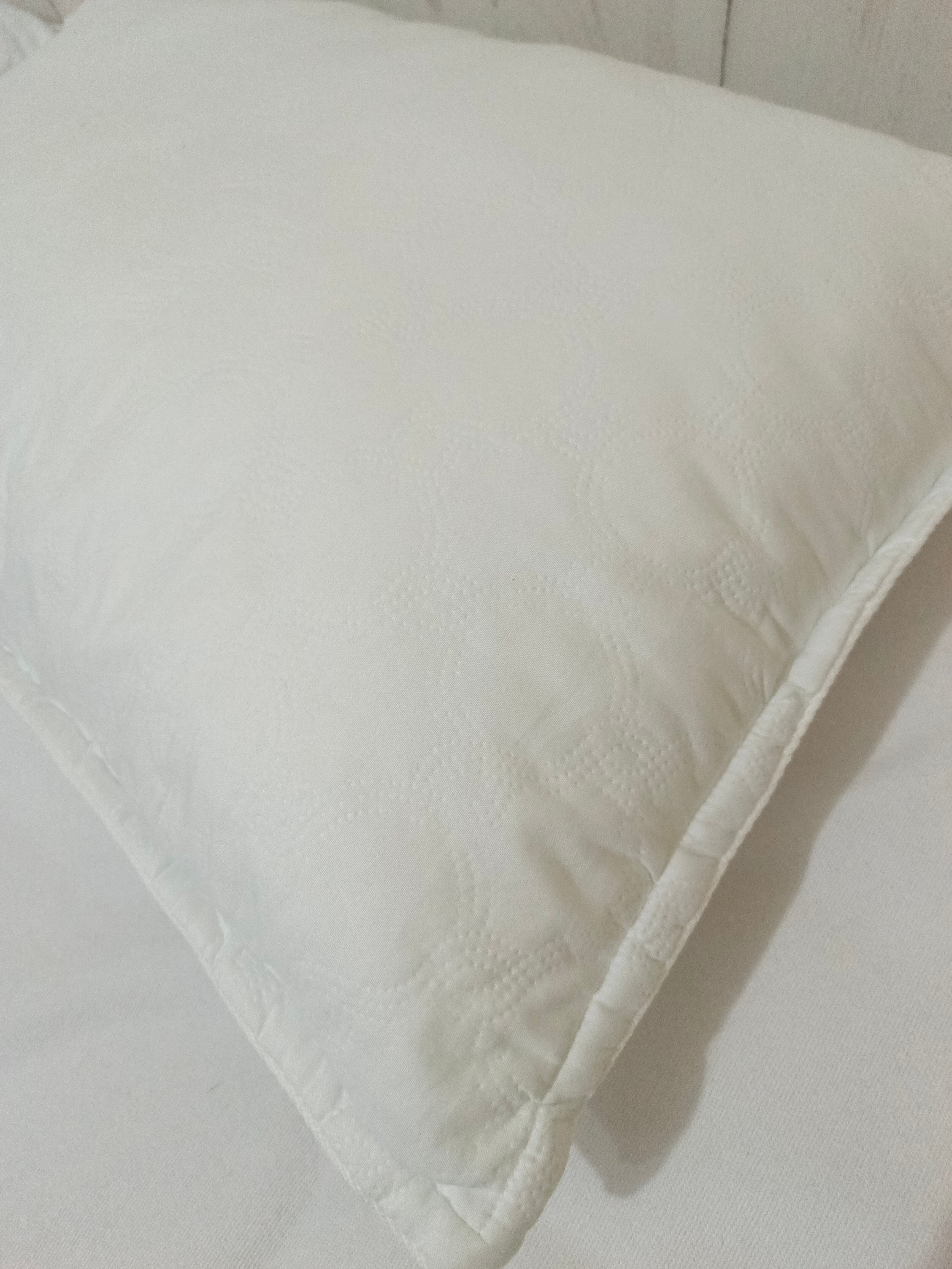 Фото Золотой абрикос