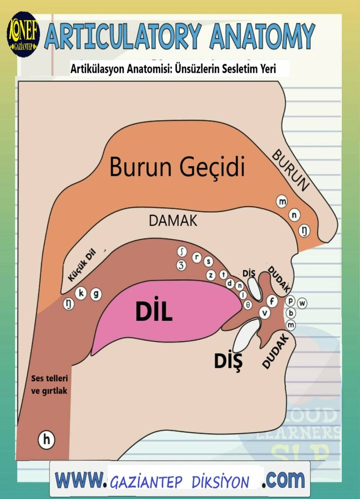Speech therapists Konef Gaziantep, Gaziantep, photo