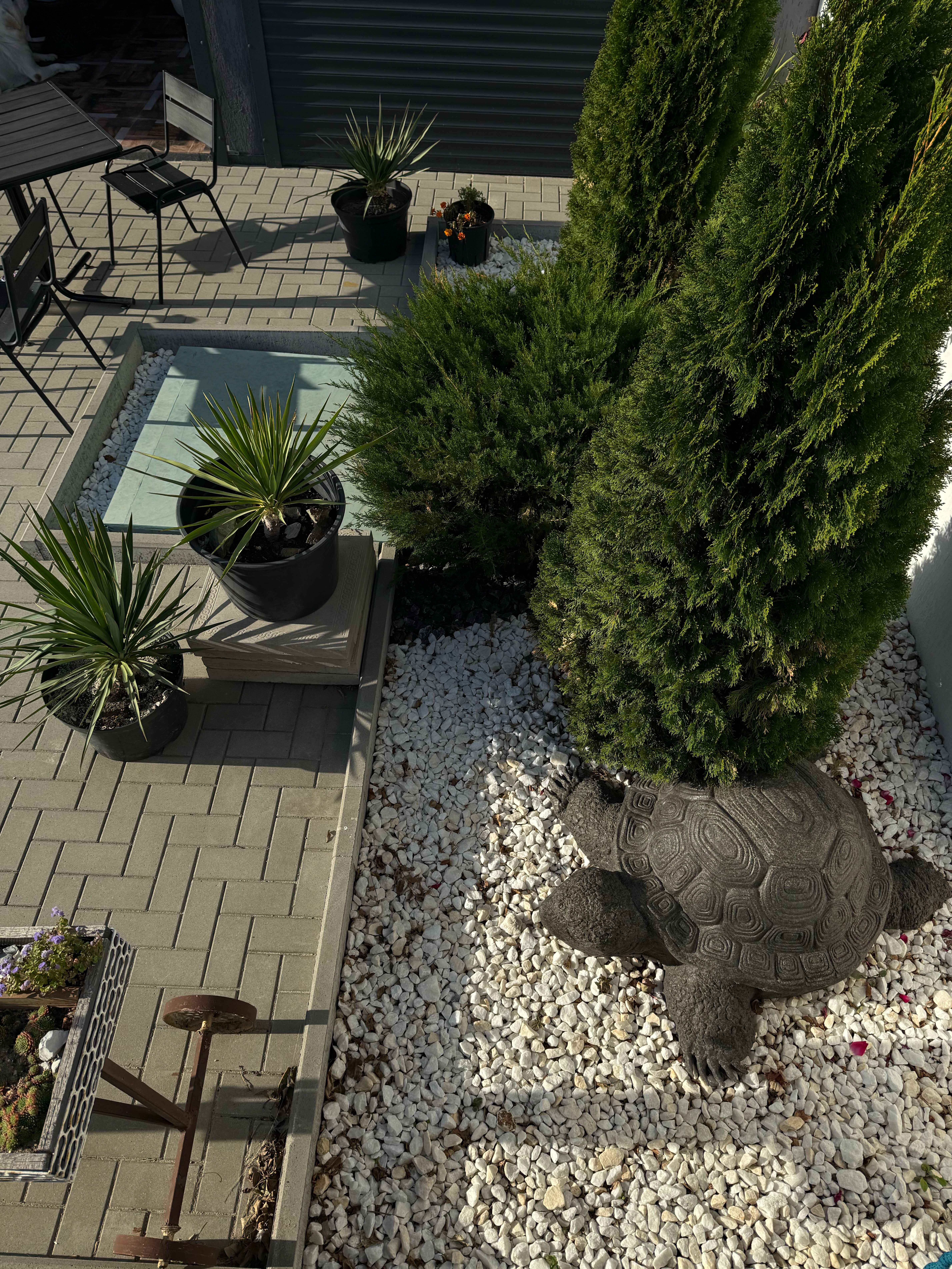 Фото Abrau Family