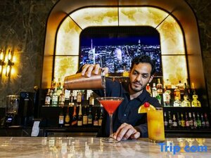 Гостиница Hotel Riu Plaza Chicago
