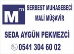 Freelance Accountant Financial Advisor Seda Aygun Pekmezci (Sakarya, Adapazari, Cumhuriyet Neighborhood, Telli Street, 15), accountants