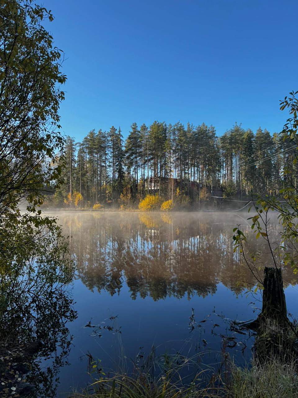 Фото Гринвальд Парк Скандинавия