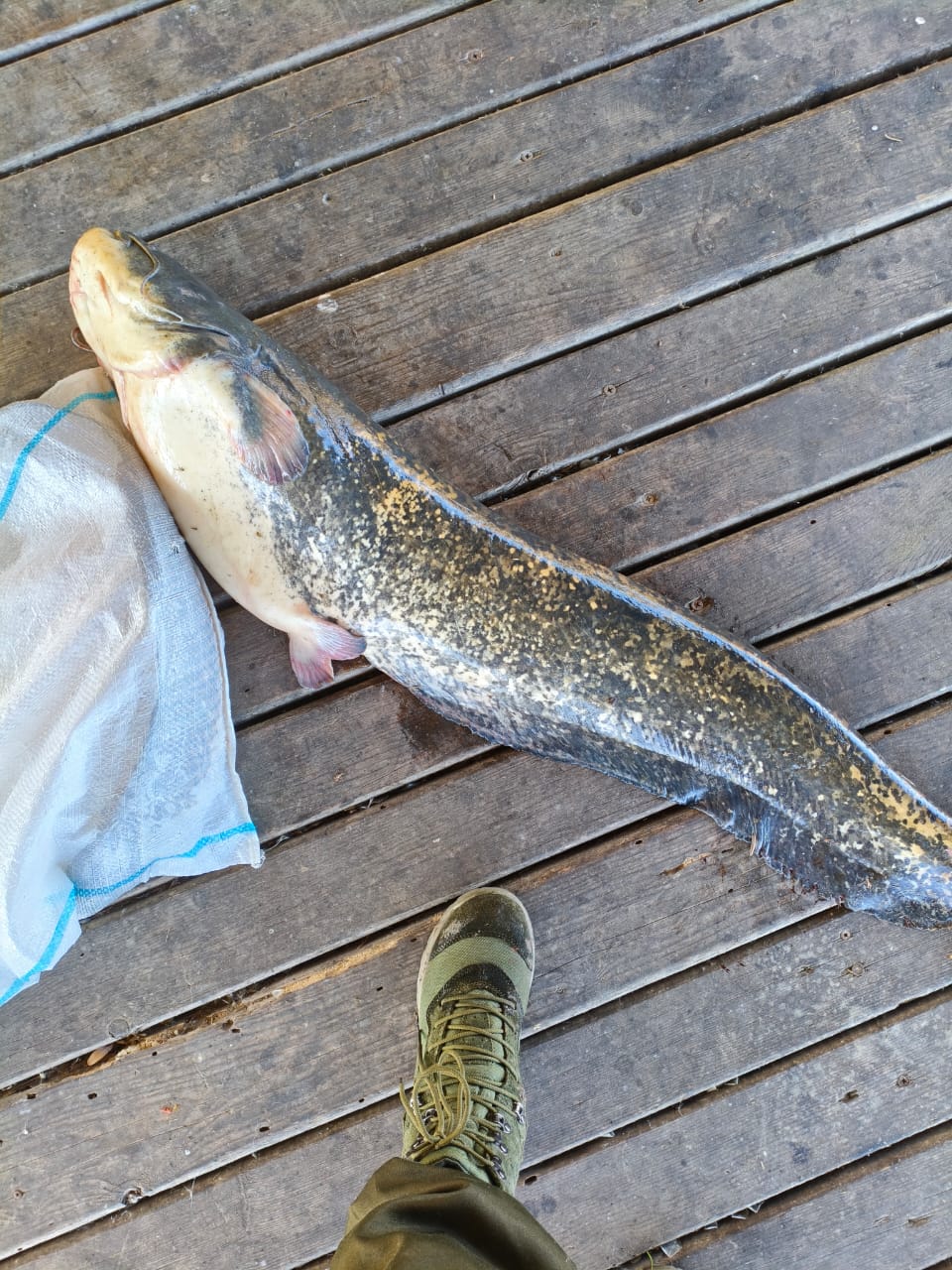 Фото Рыбалкино