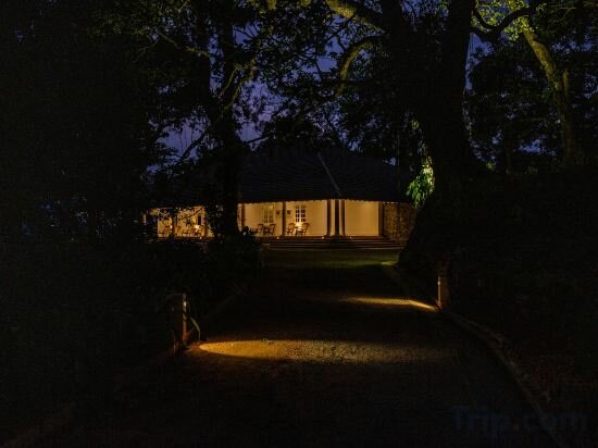 Фото 95847761184