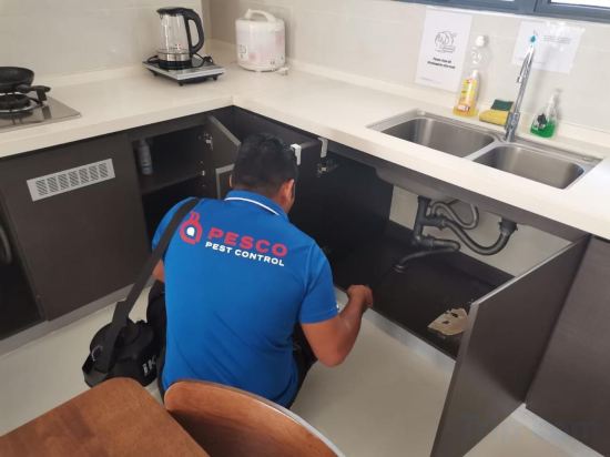 Фото Amberside Country Garden Danga Bay