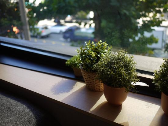 Фото Hostel Cleo Seoul Hongdae