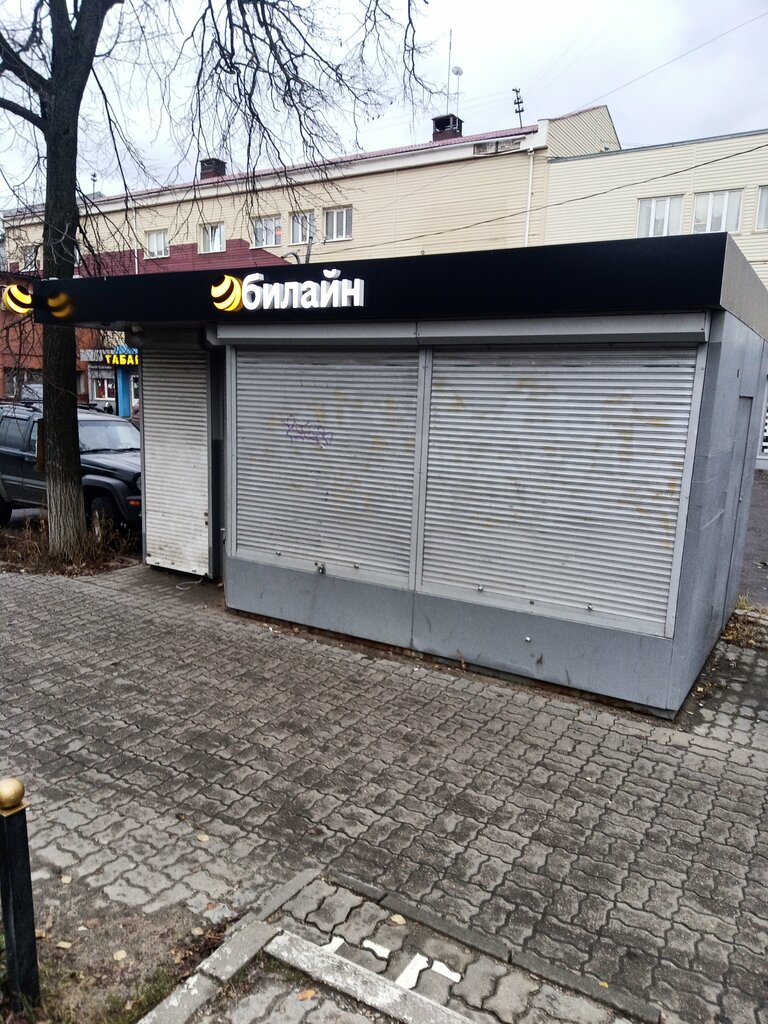 Mobile network operator beeline, Elektrostal, photo