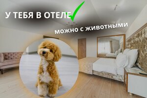 Сенатор Неолит