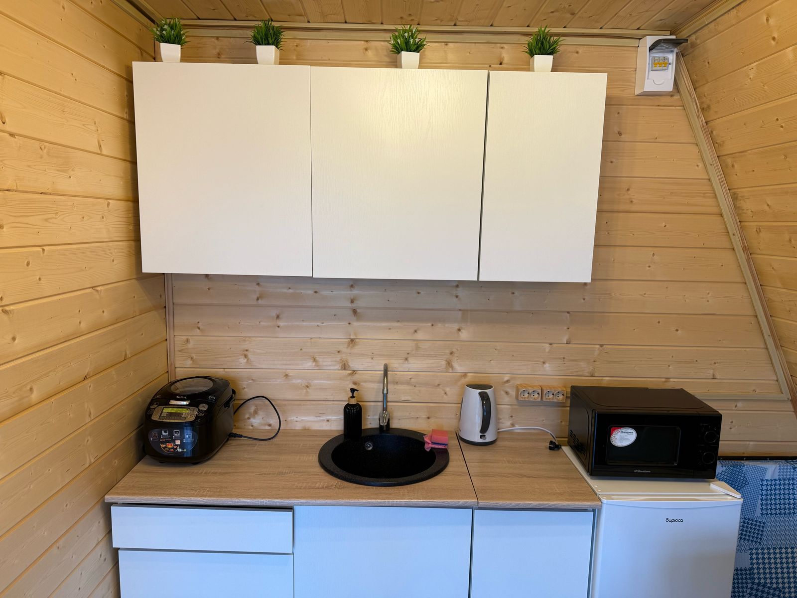 Фото Метелица